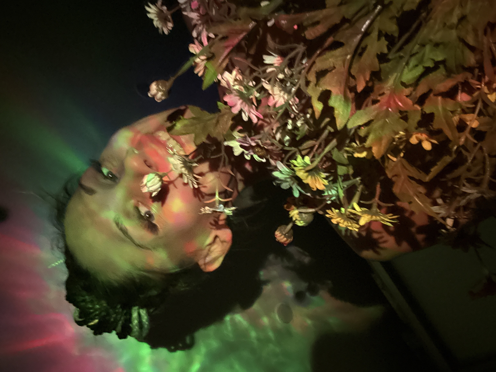Person photographed amid flowers with colored lighting in Bor