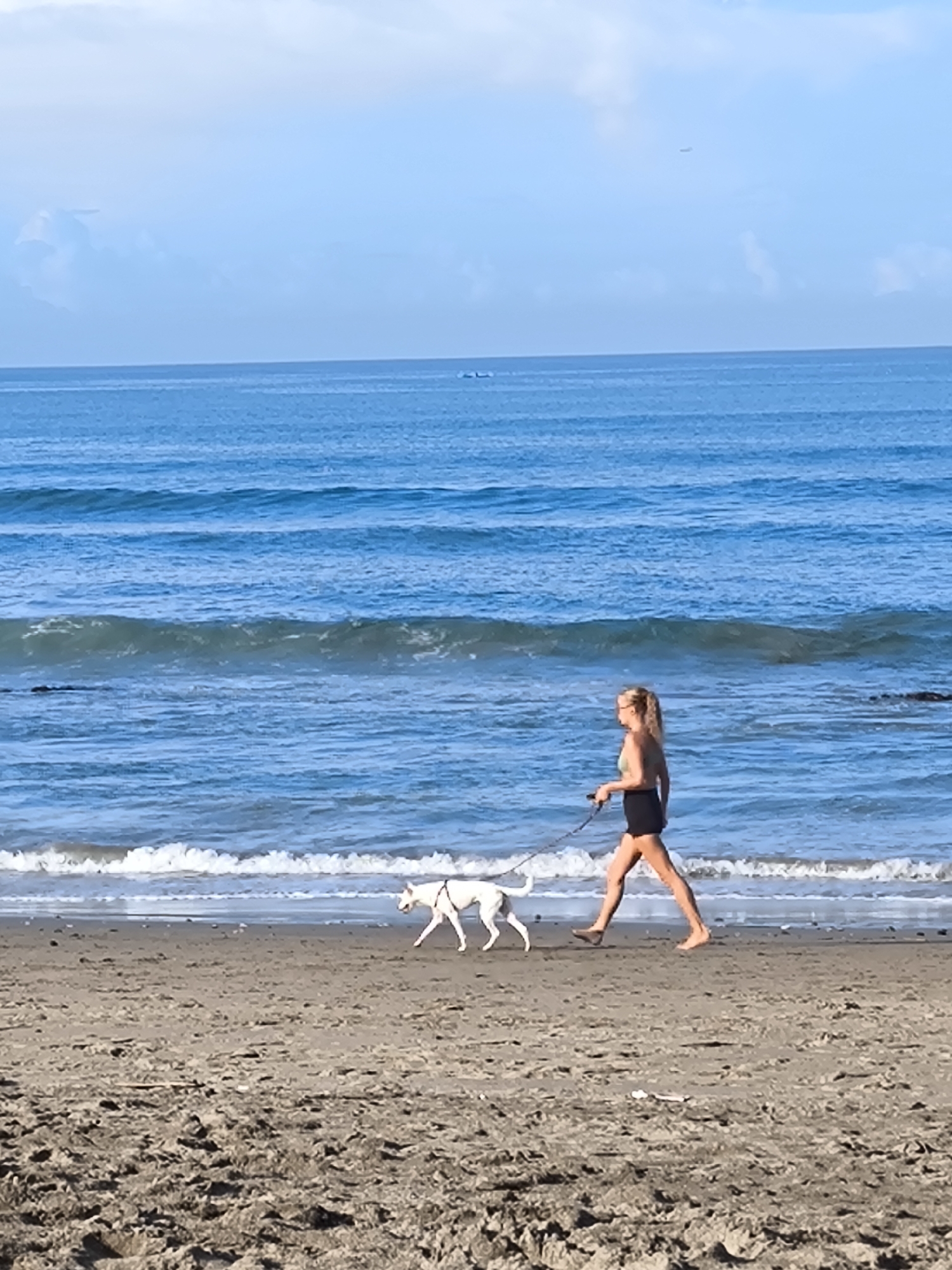 Woman walks white dog on Canggu beach evening