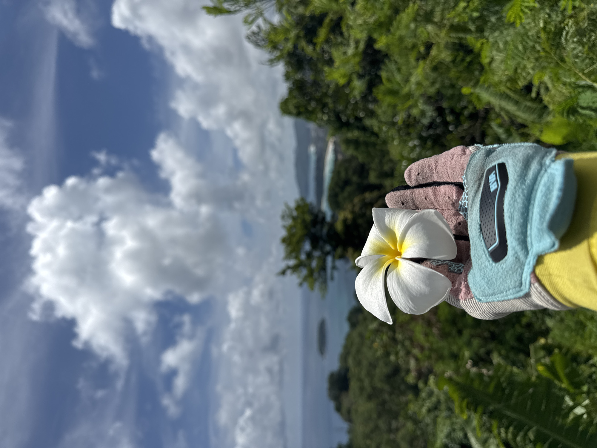 Morning stop at Karon's coastal overlook with bay views