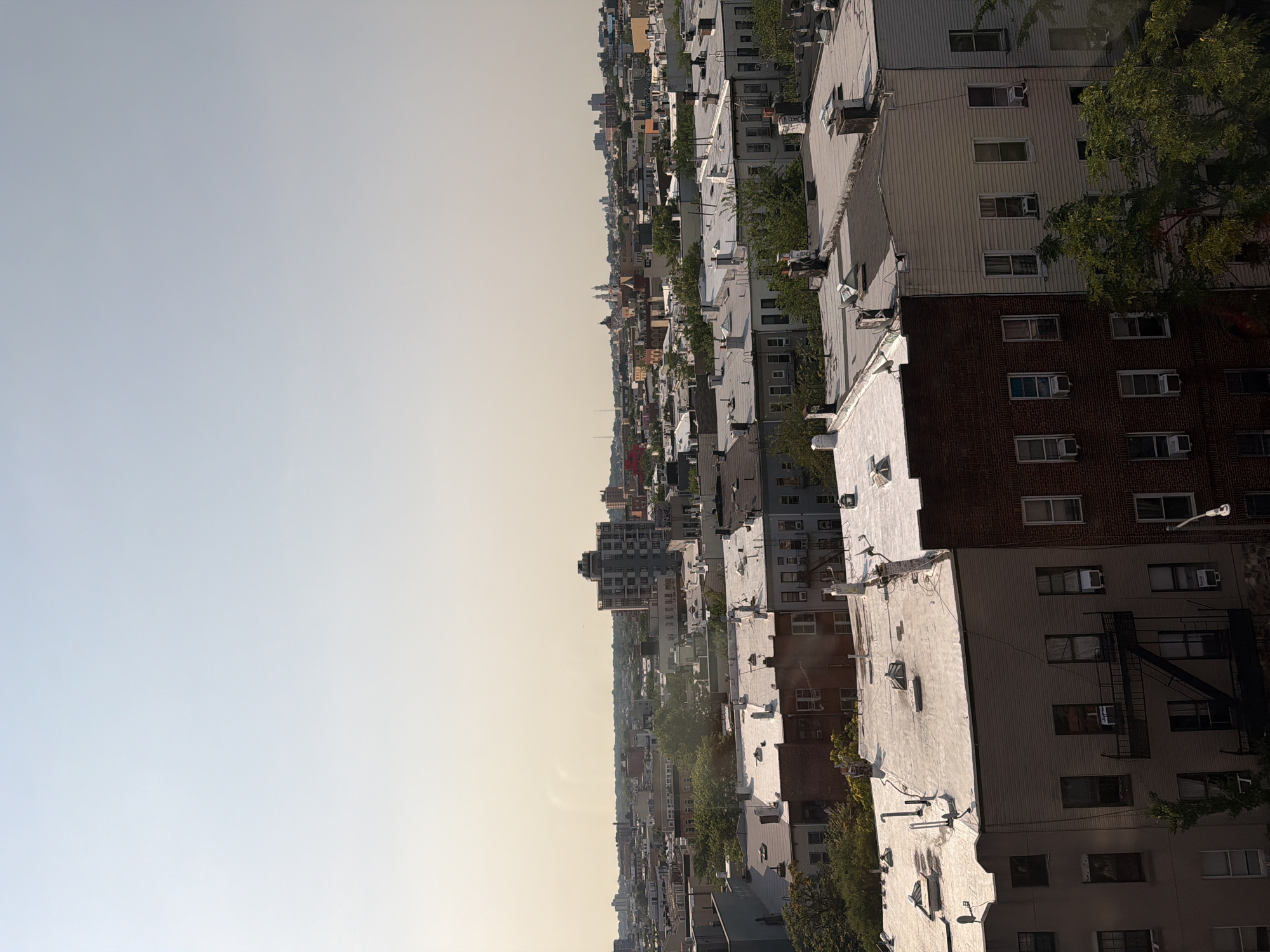 Brooklyn rooftops and residential skyline, midday.