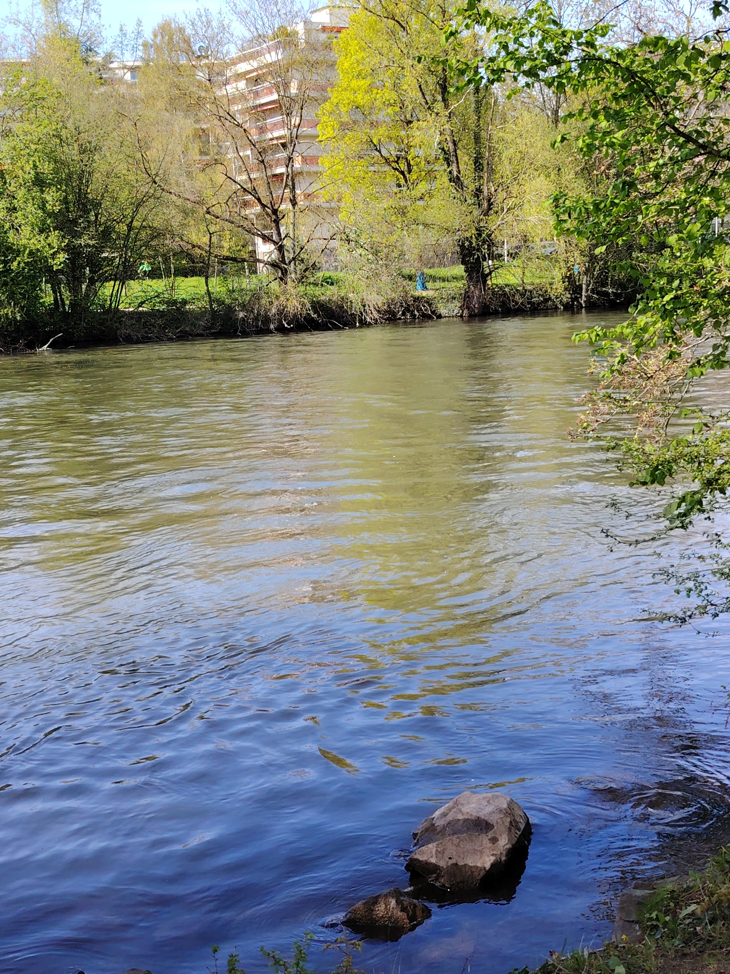 Woman in life vest spotted along Ill River, Strasbourg