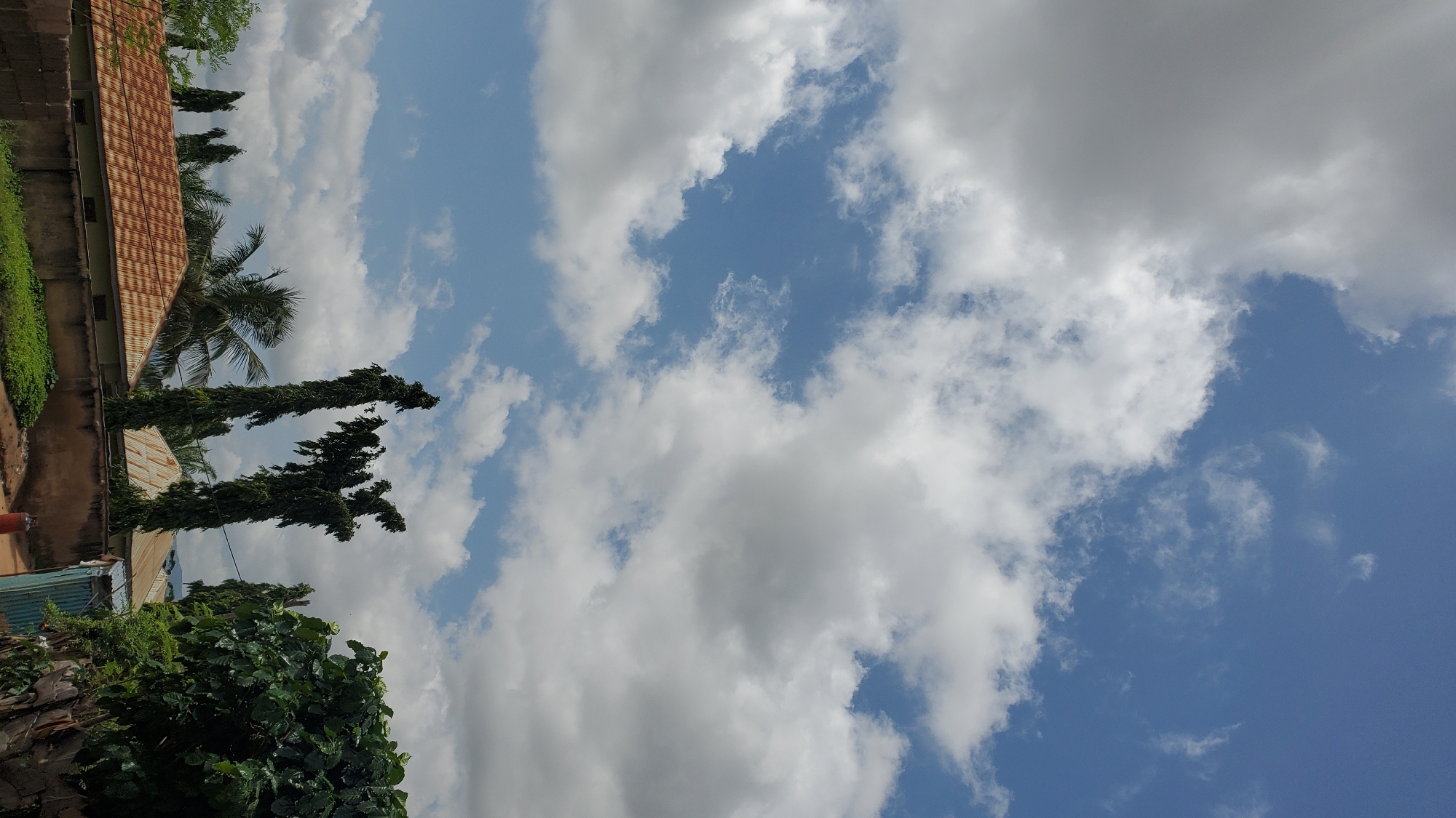Rooftops and trees under a cloudy sky in Jalingo
