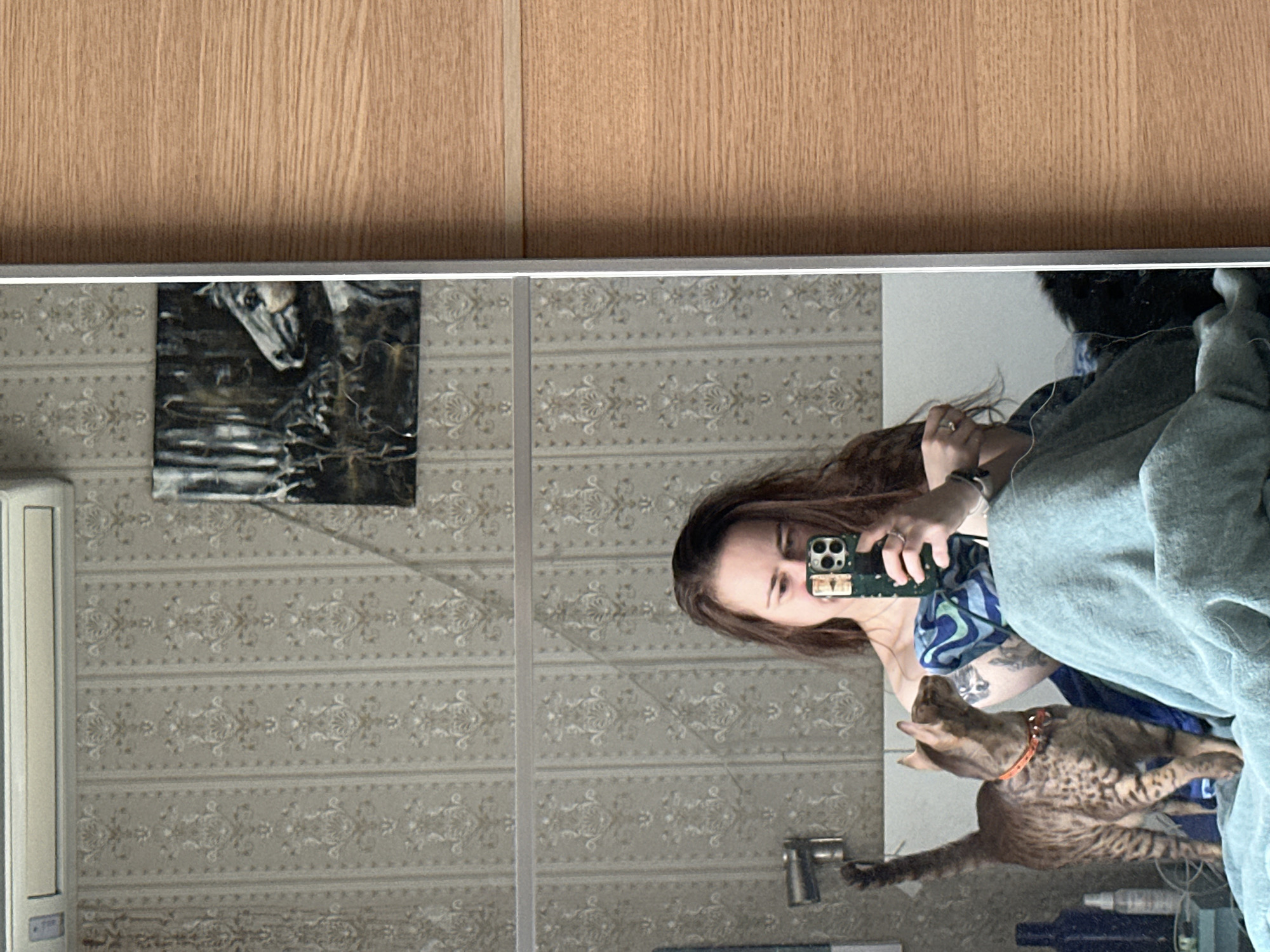 Moscow resident documents morning routine with Australian Shepherd and cat