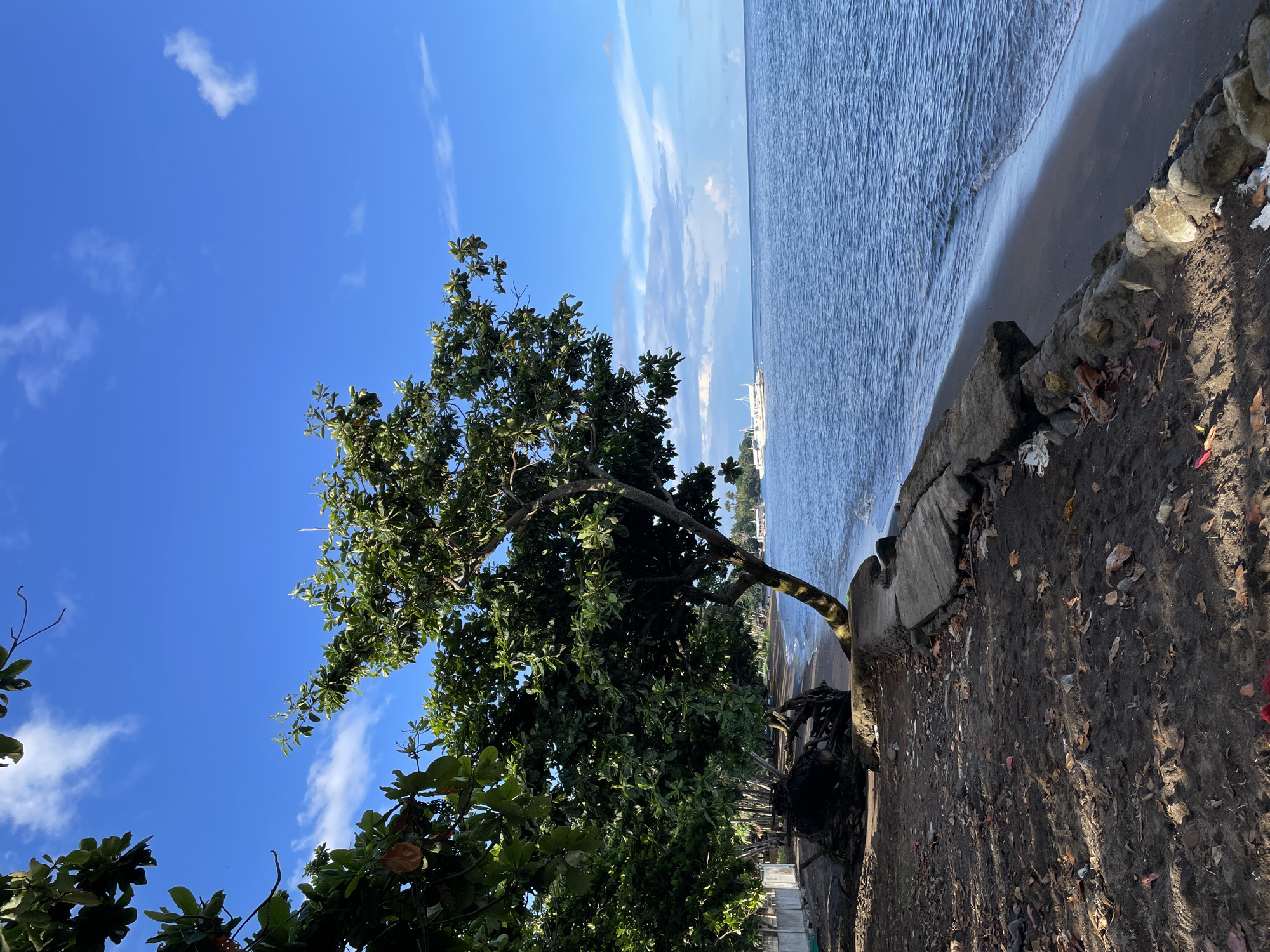 Calm morning on the Dauin coast, boats offshore and coconut palms close