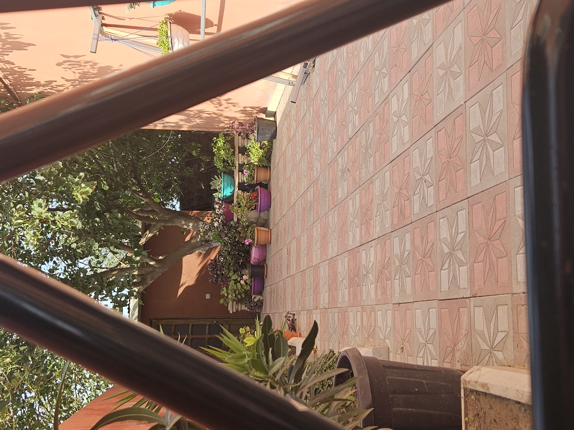 Courtyard, birds in flight, and a game of dominoes