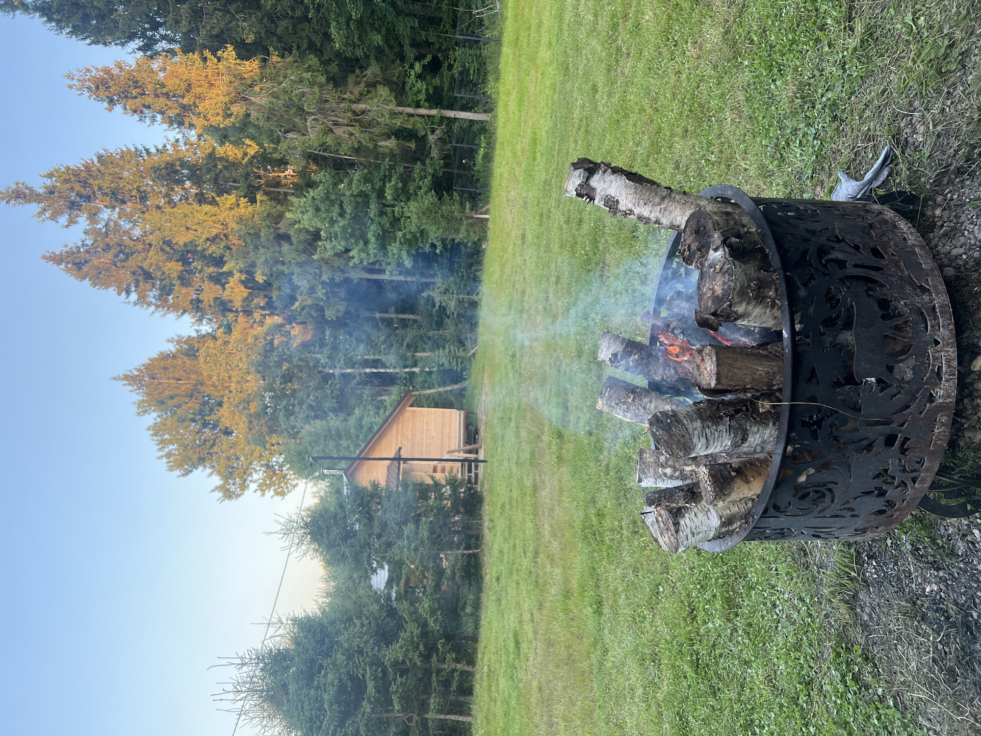 Campfire burning in a metal fire pit, Popovka backyard