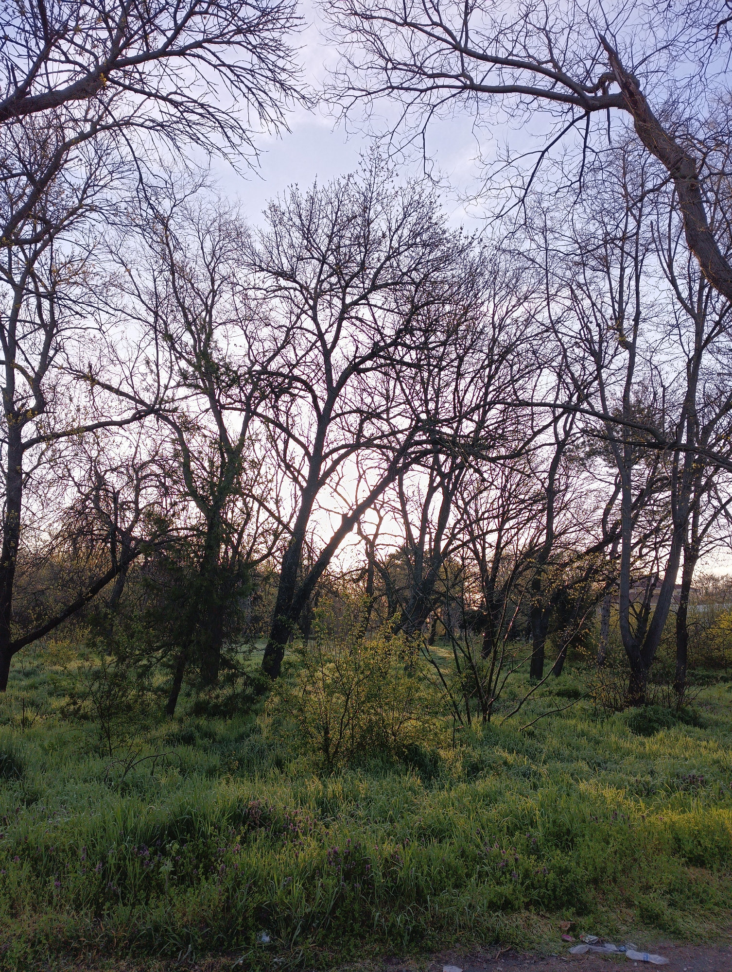 Golden hour moments captured across Karnobat, Bulgaria locations