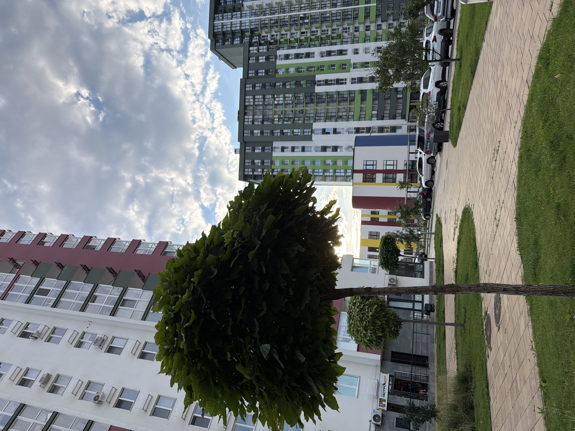 Kyiv residential complex on a summer afternoon