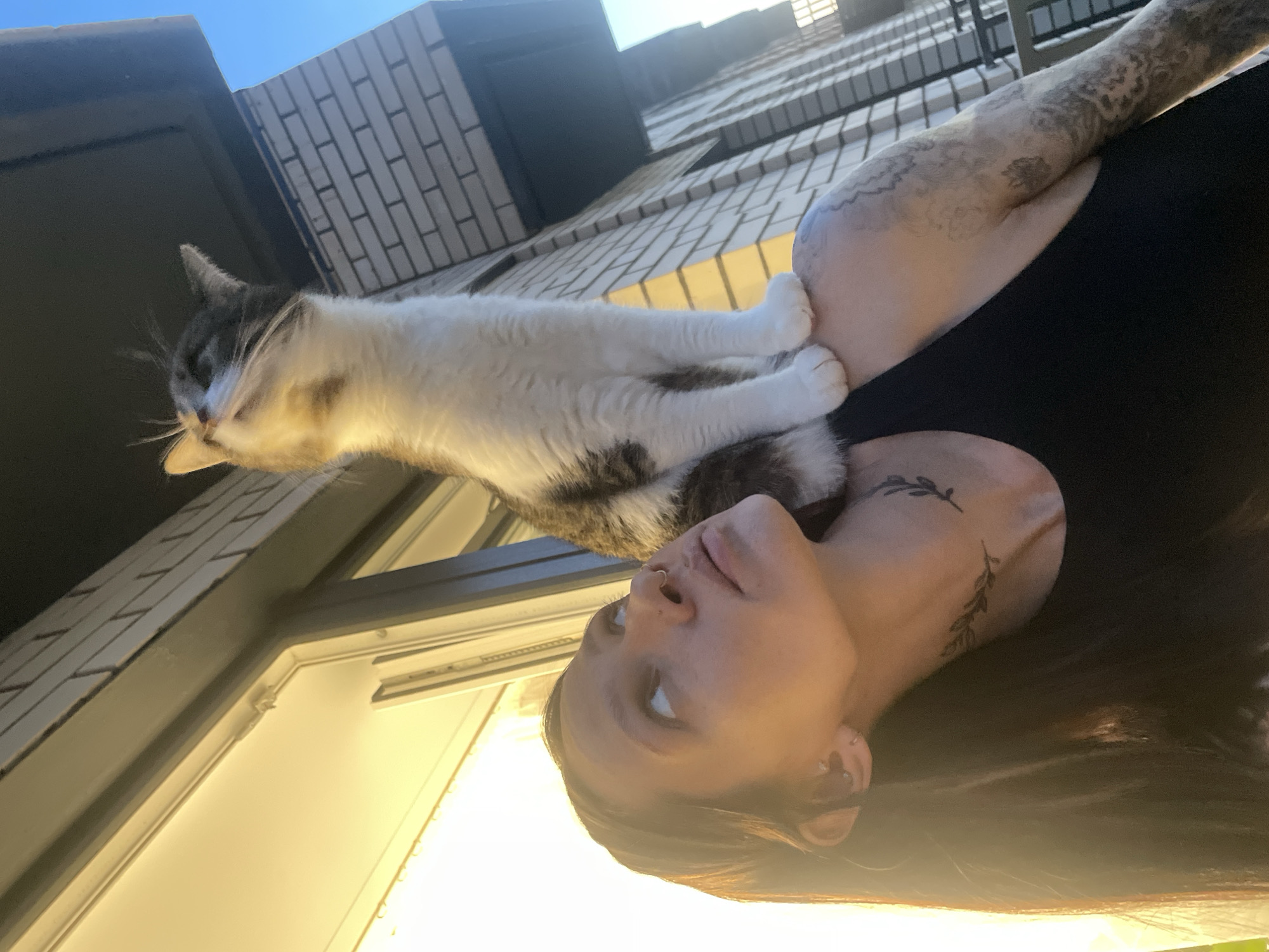Woman enjoys quiet evening with cat and husky in Pervomaysky