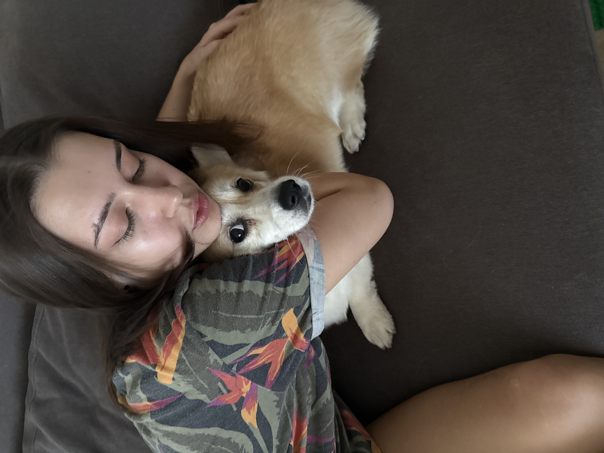 Woman and Corgi share quiet evening moments in Krasnoyarsk home