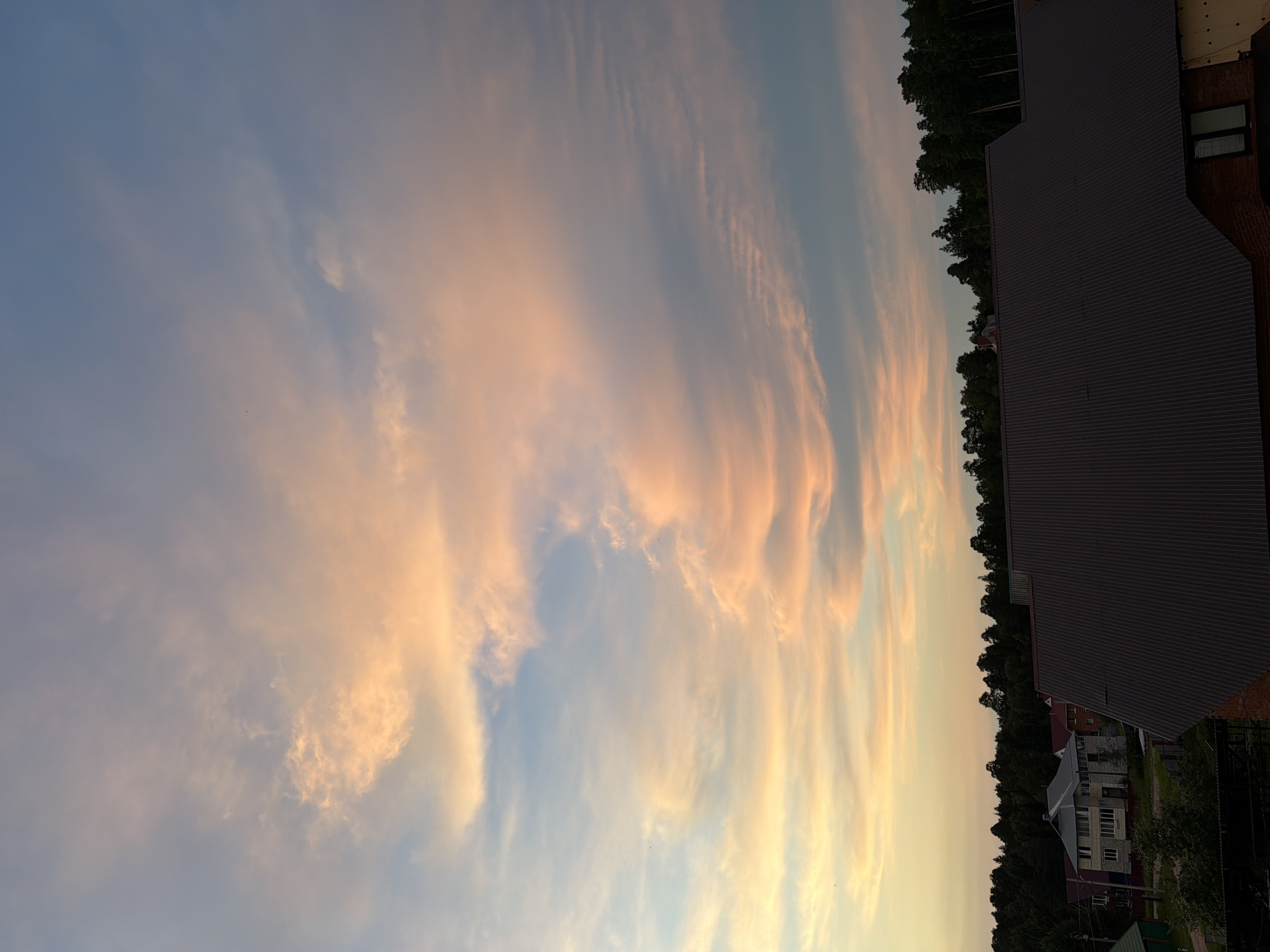 A summer evening at home in Chaikovsky, cats and all