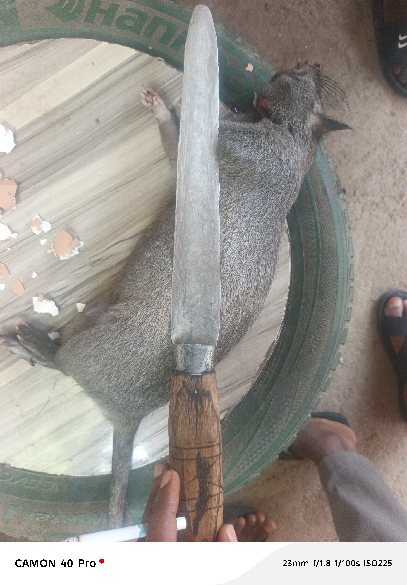 Residential courtyard scenes documented in Jos, Nigeria morning hours