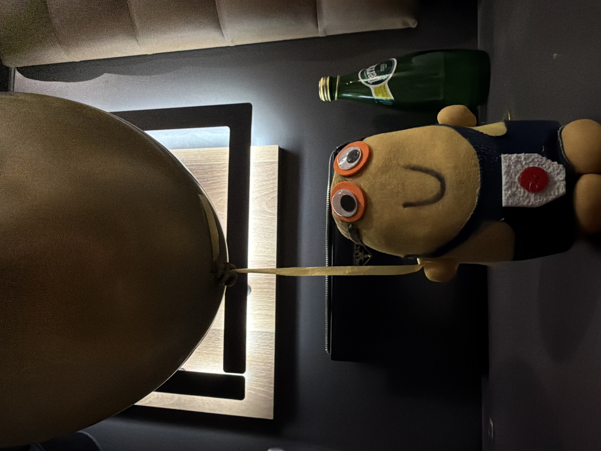Plush toy spotted in dimly lit Petarch interior