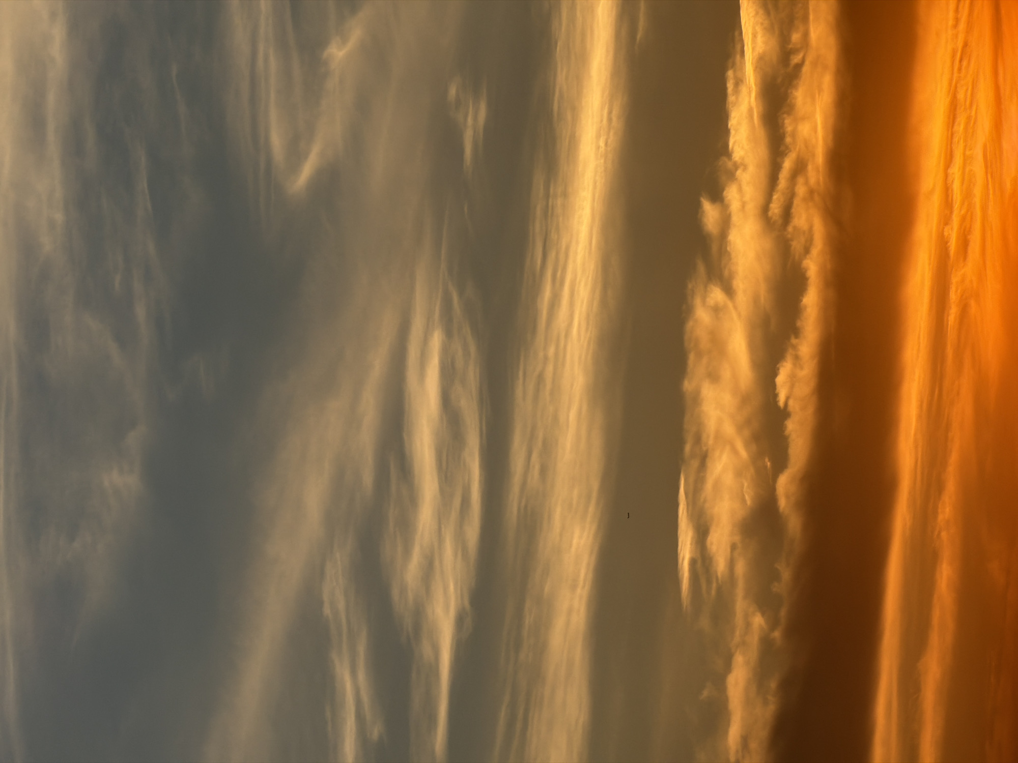 Evening suburban scenes documented during sunset hour June 6