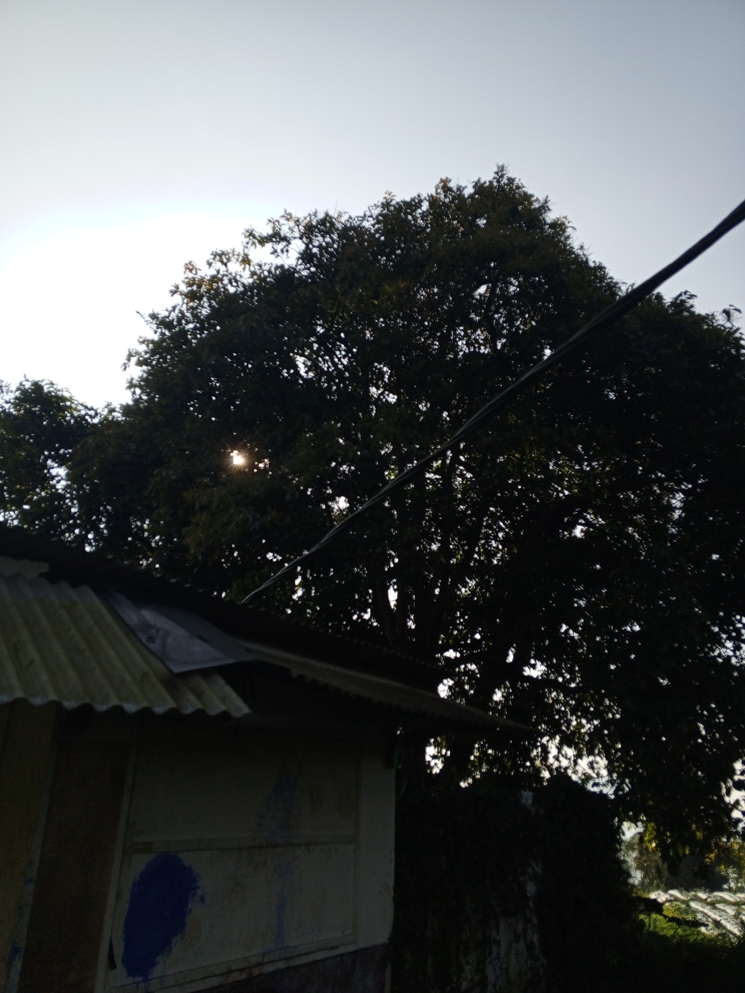 Rural Ciherang landscapes documented during early morning walk