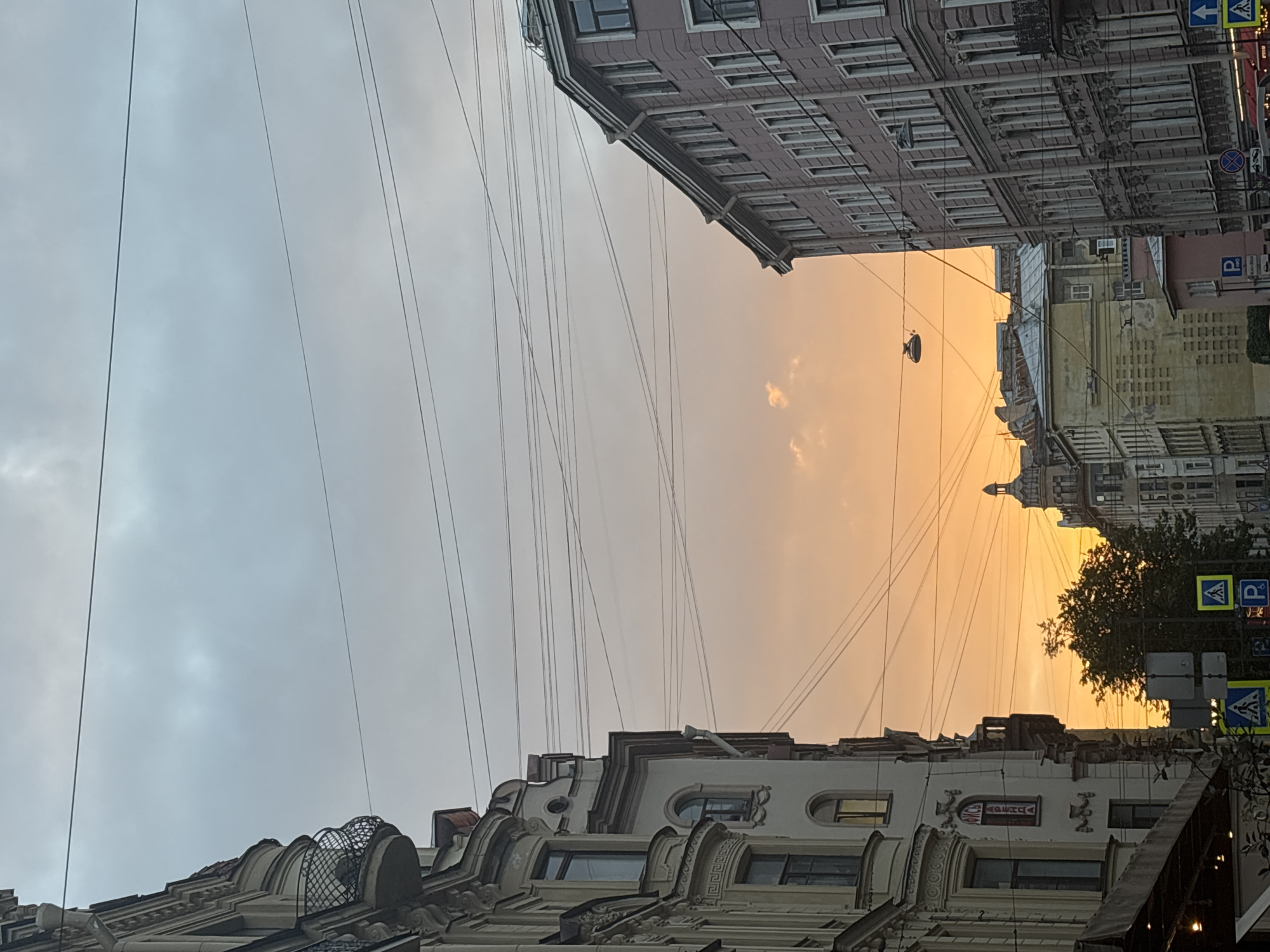 Sunset stroll and a playful cat in Saint Petersburg