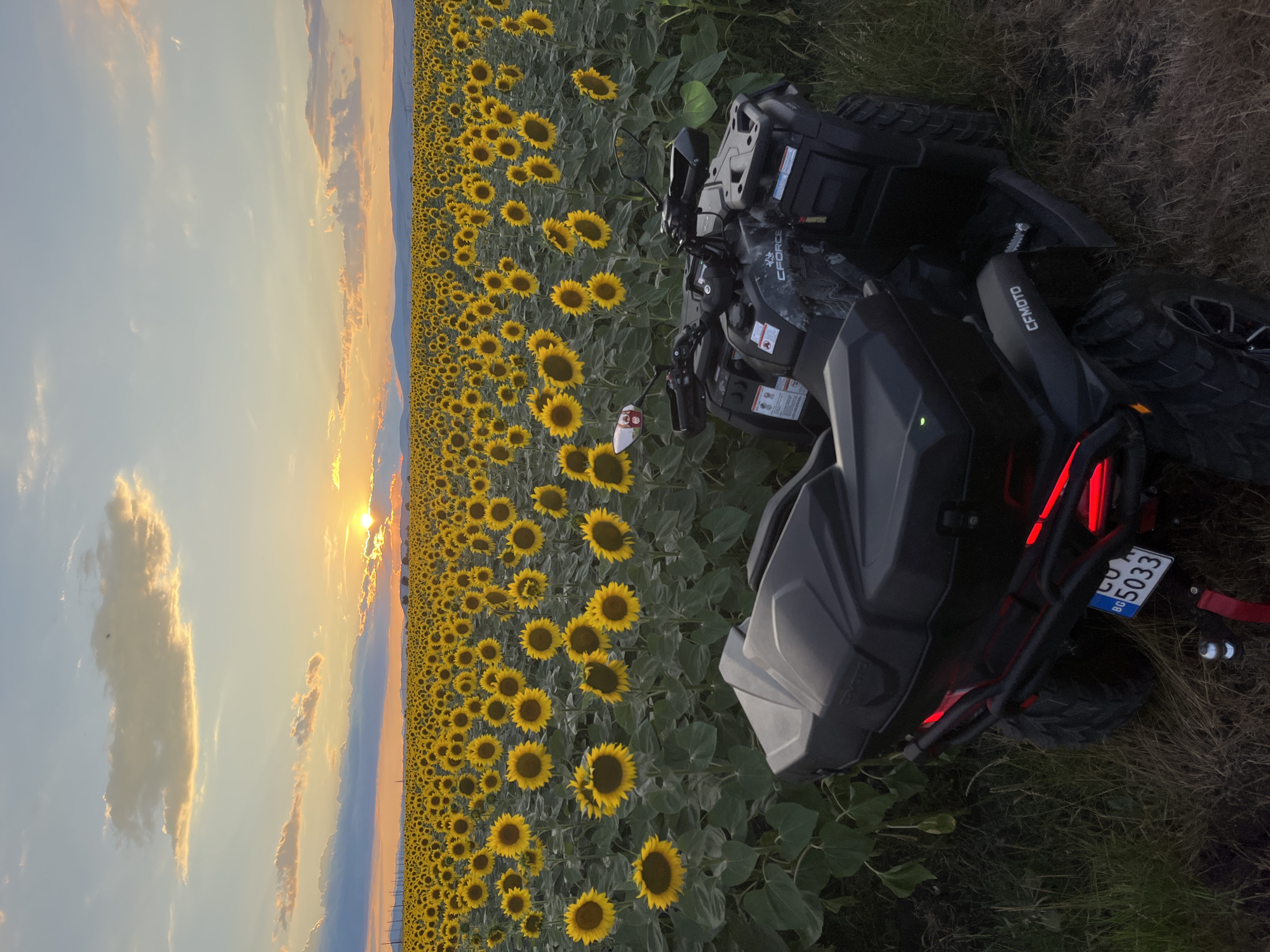 CFMOTO ATV parked in Bulgarian sunflower field at sunset