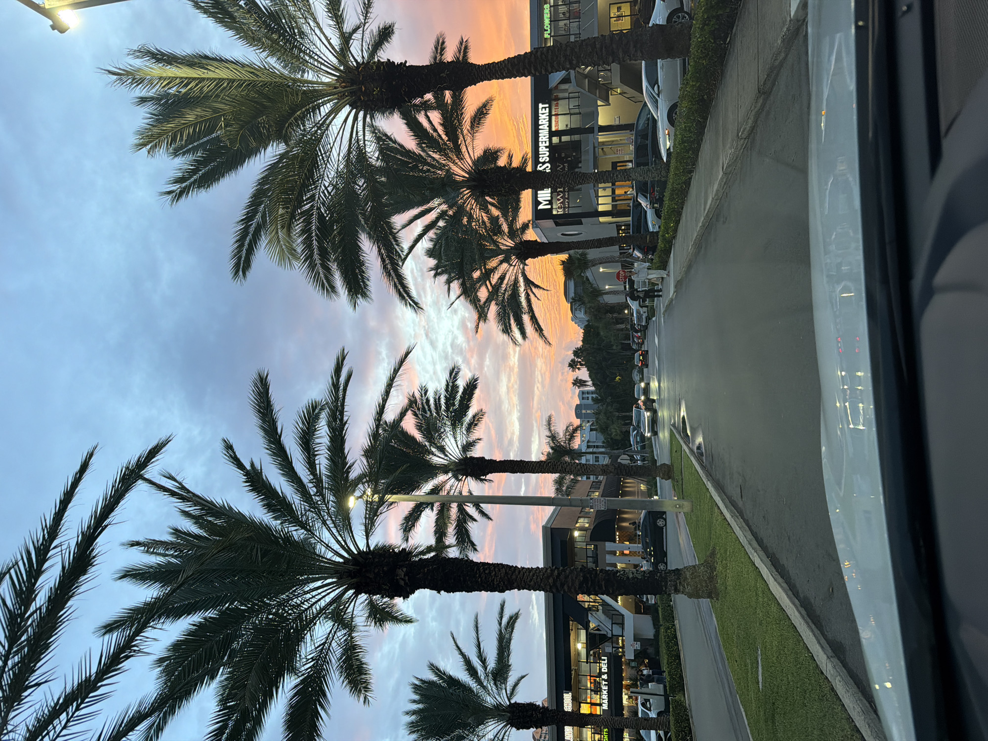 Palm-lined street glows under a vivid Sunny Isles dusk sky