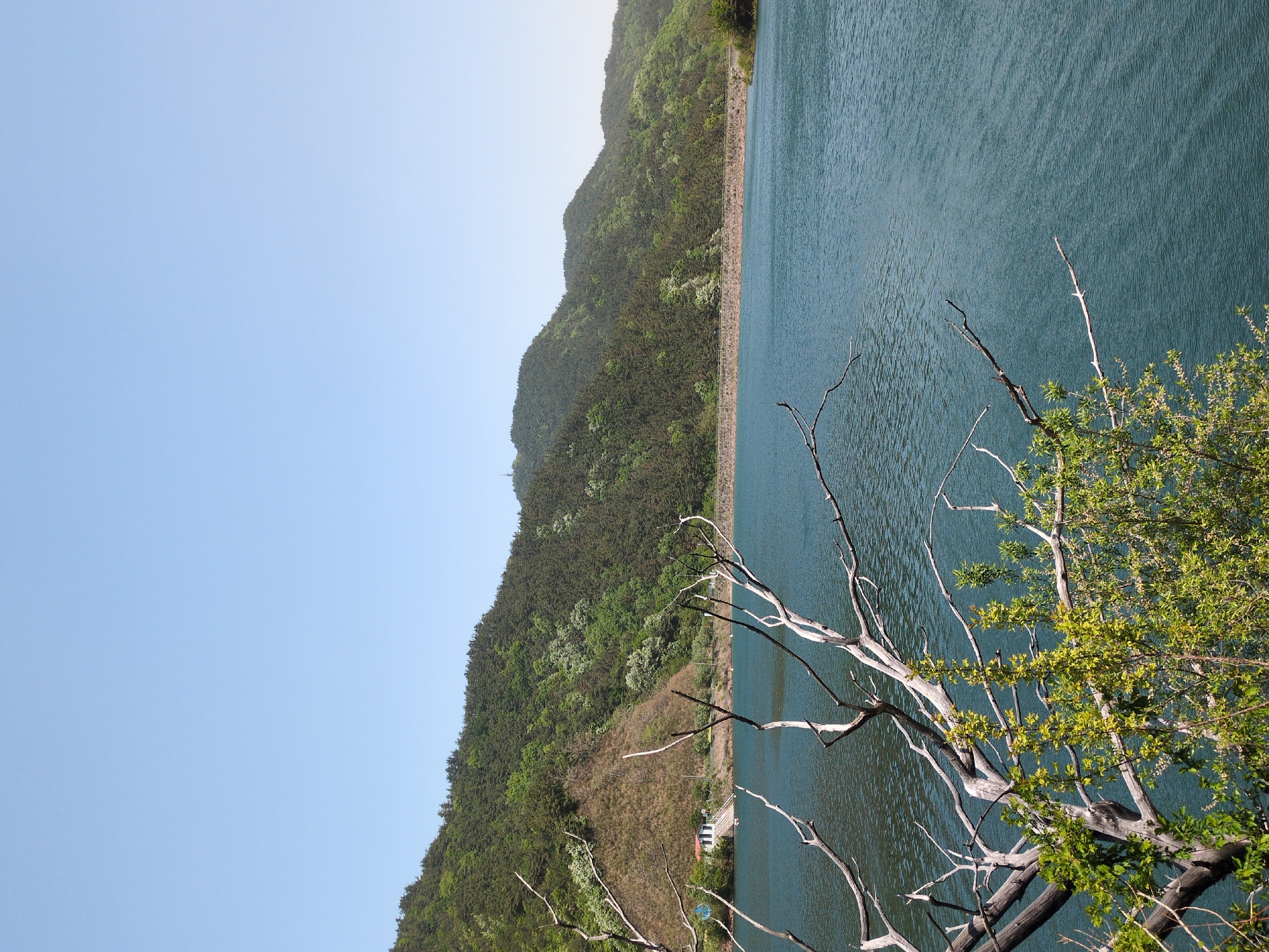 Solo photographer documents spring morning walk around Jangchan-ri lake