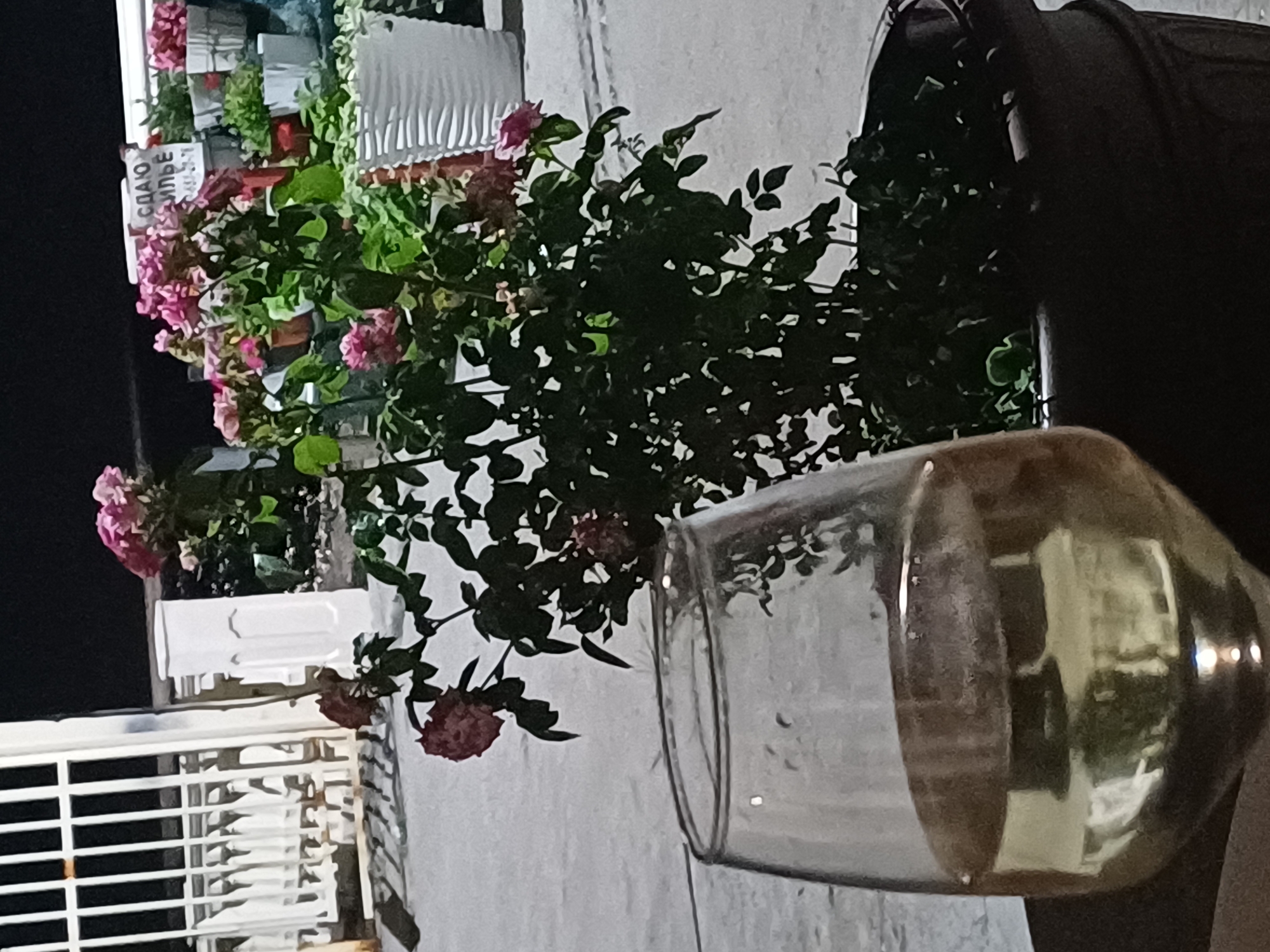 Evening gathering with wine and roses at a Sochi terrace