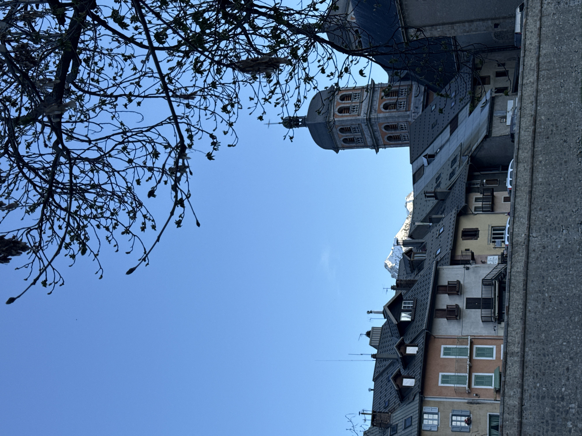 Spring buds emerge on trees under clear skies in Briançon