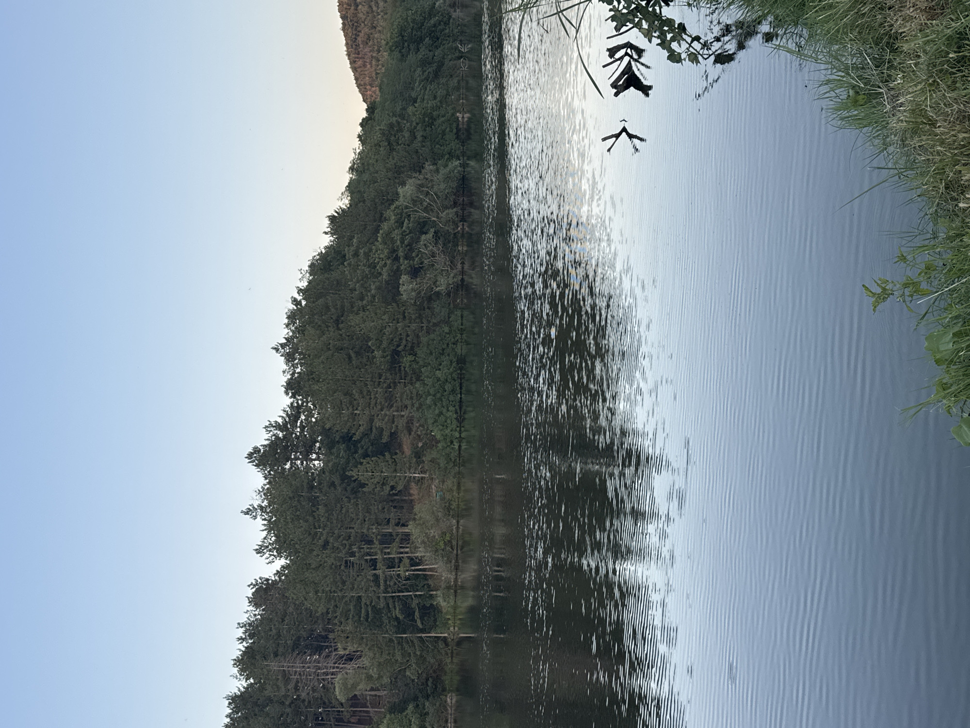 Lakeside fishing at dusk, Slavovitsa, Bulgaria