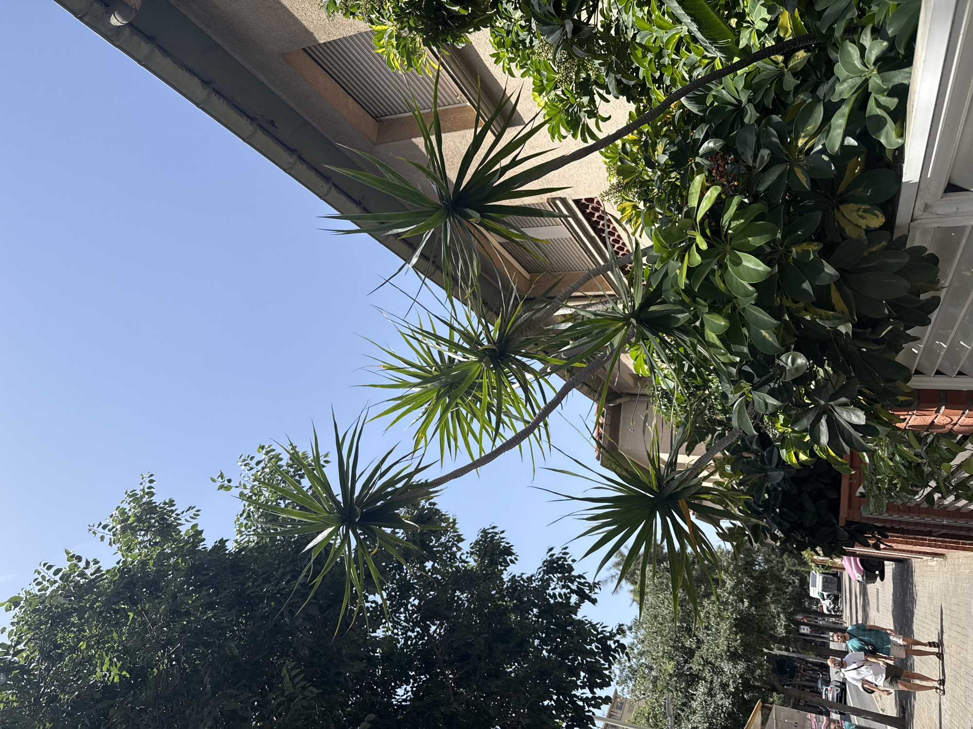 Barcelona street walk: flowers, metro, and neighborhood details