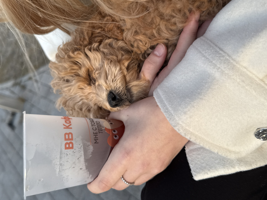 Moscow resident enjoys quiet afternoon with sleeping dog, beverage
