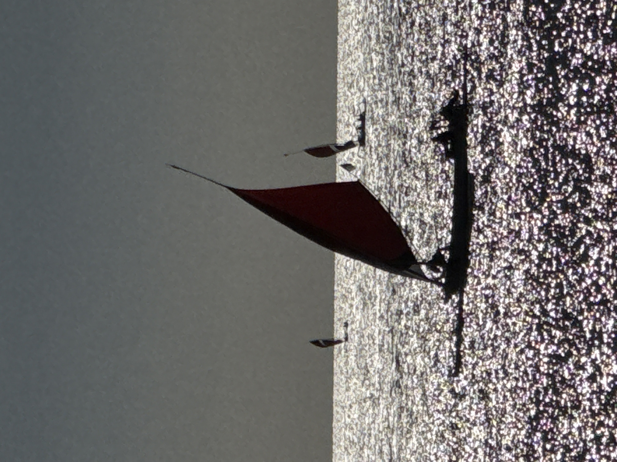 Red-sailed boat spotted on sparkling waters near Abang, Indonesia