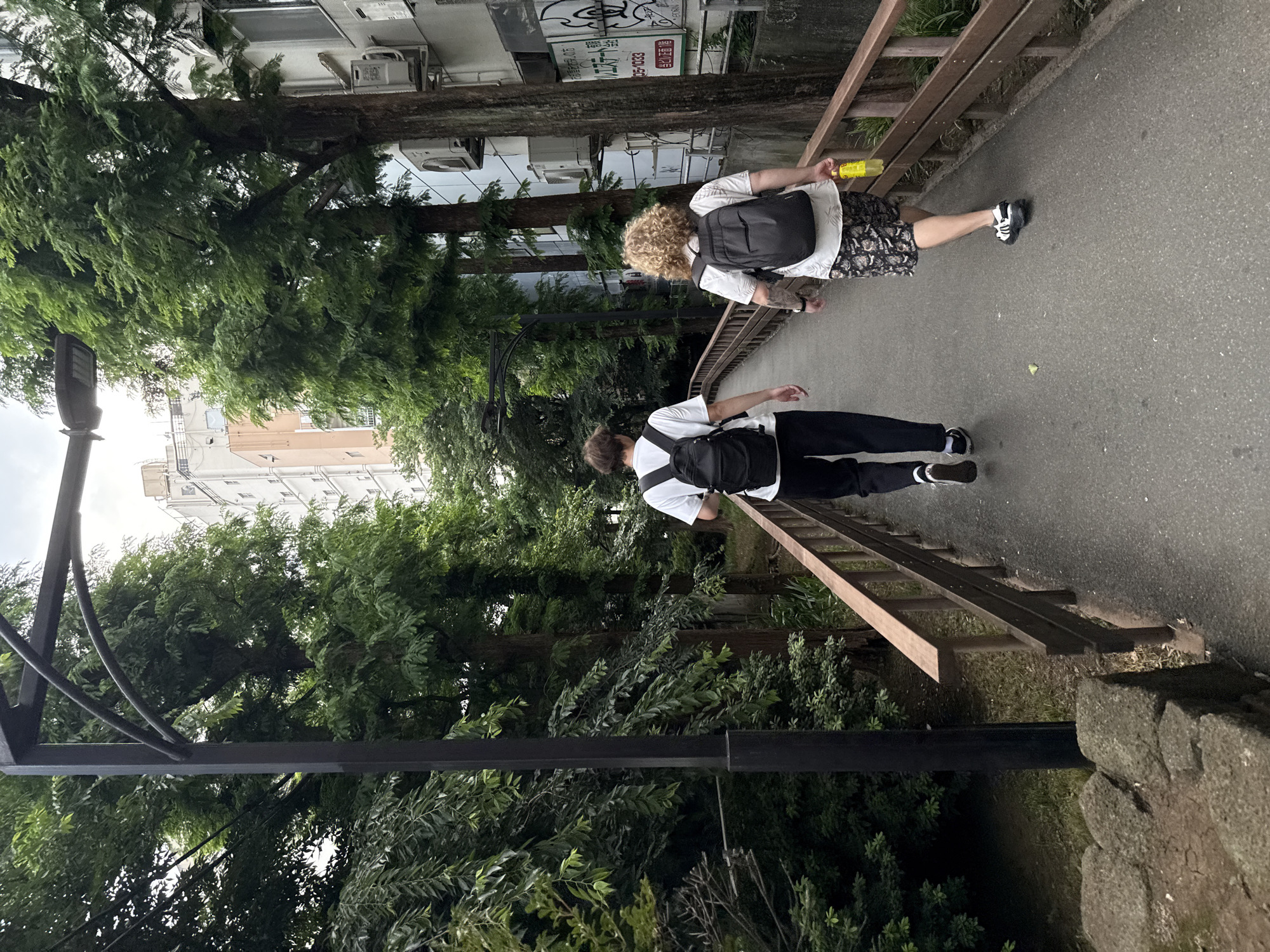 Street-level Shinjuku: vending machines, graffiti, and a resting cat