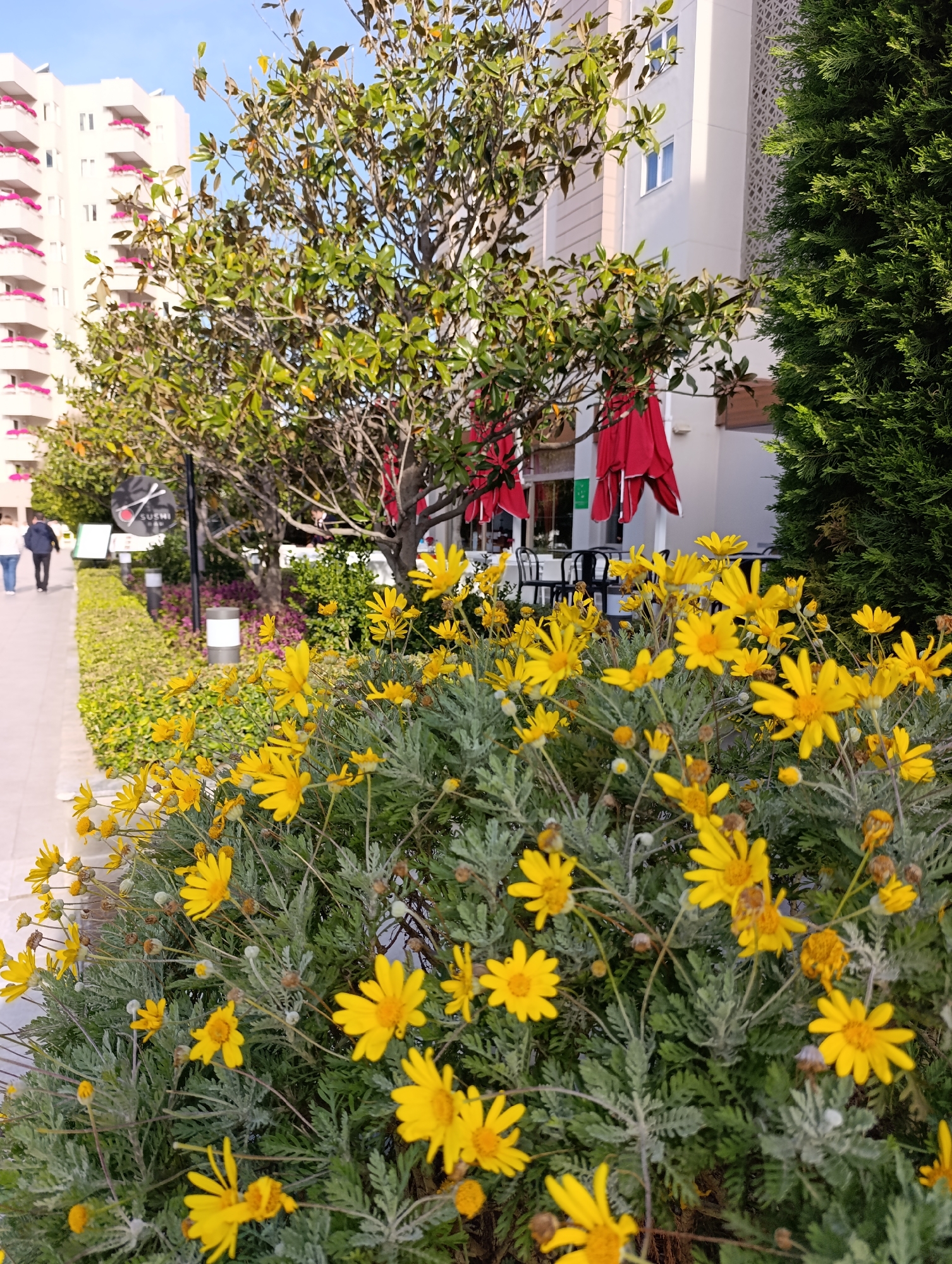 Tourist documents early morning resort scenes in Aksu, Turkey
