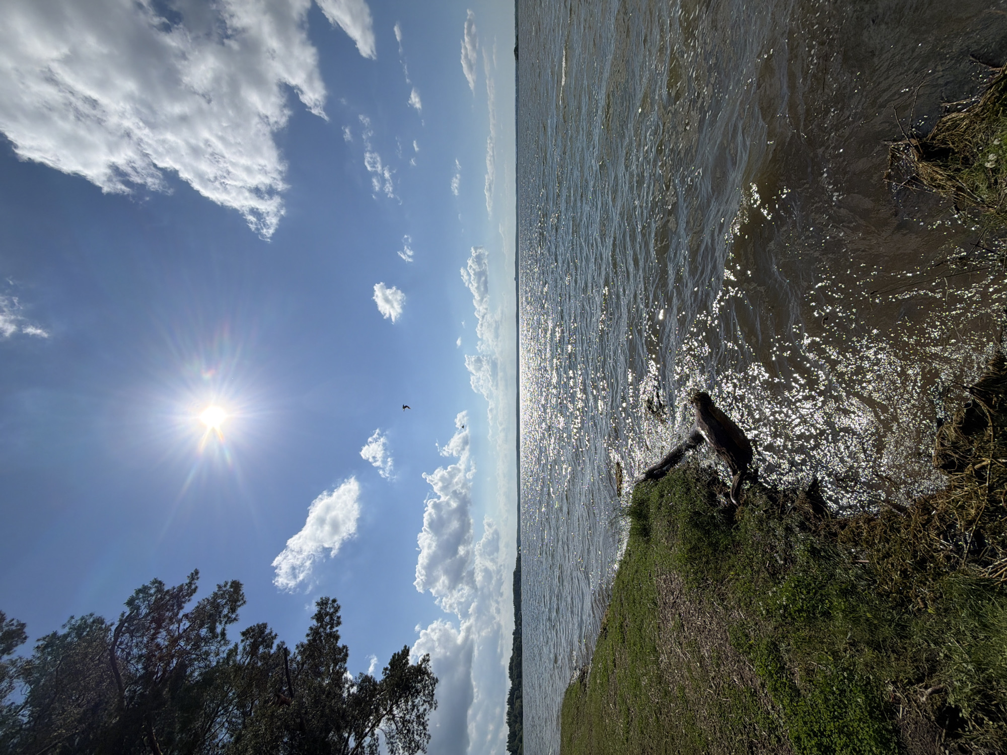 Lakeside afternoon in the Belarusian countryside