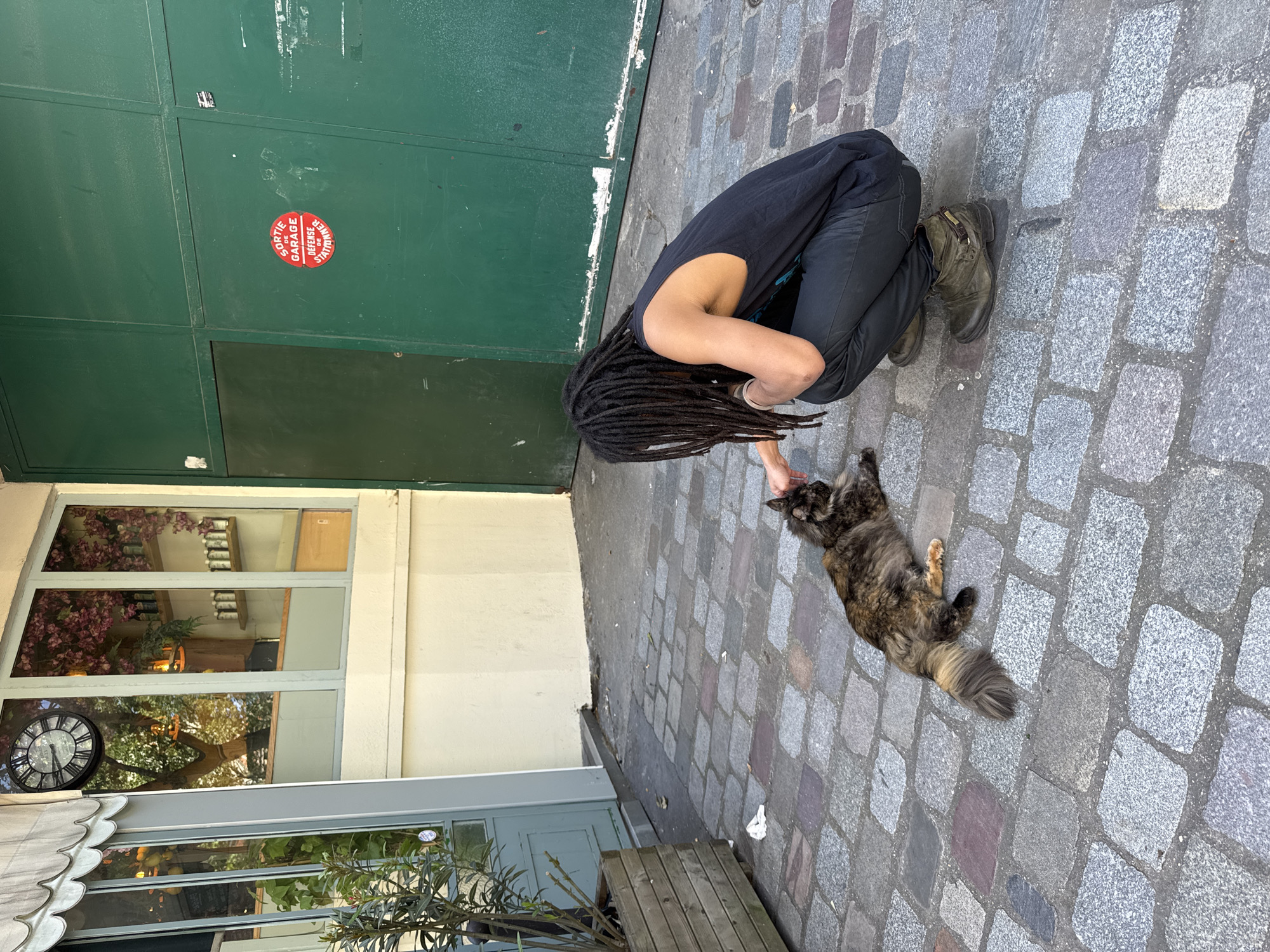 Person with dreadlocks pets tortoiseshell cat on Paris cobblestone street