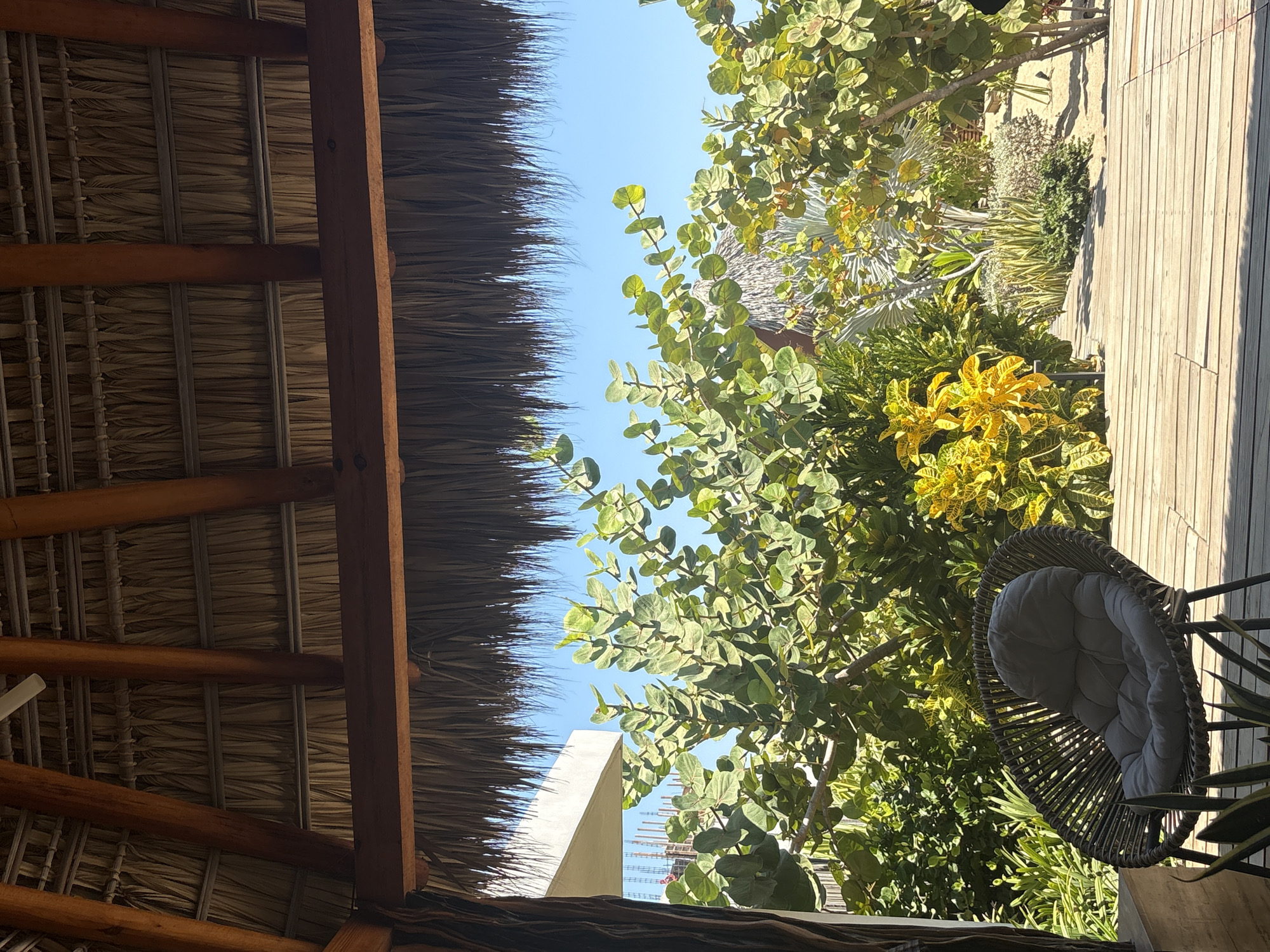 Traditional palapa roof view captured in El Jícaro, Mexico
