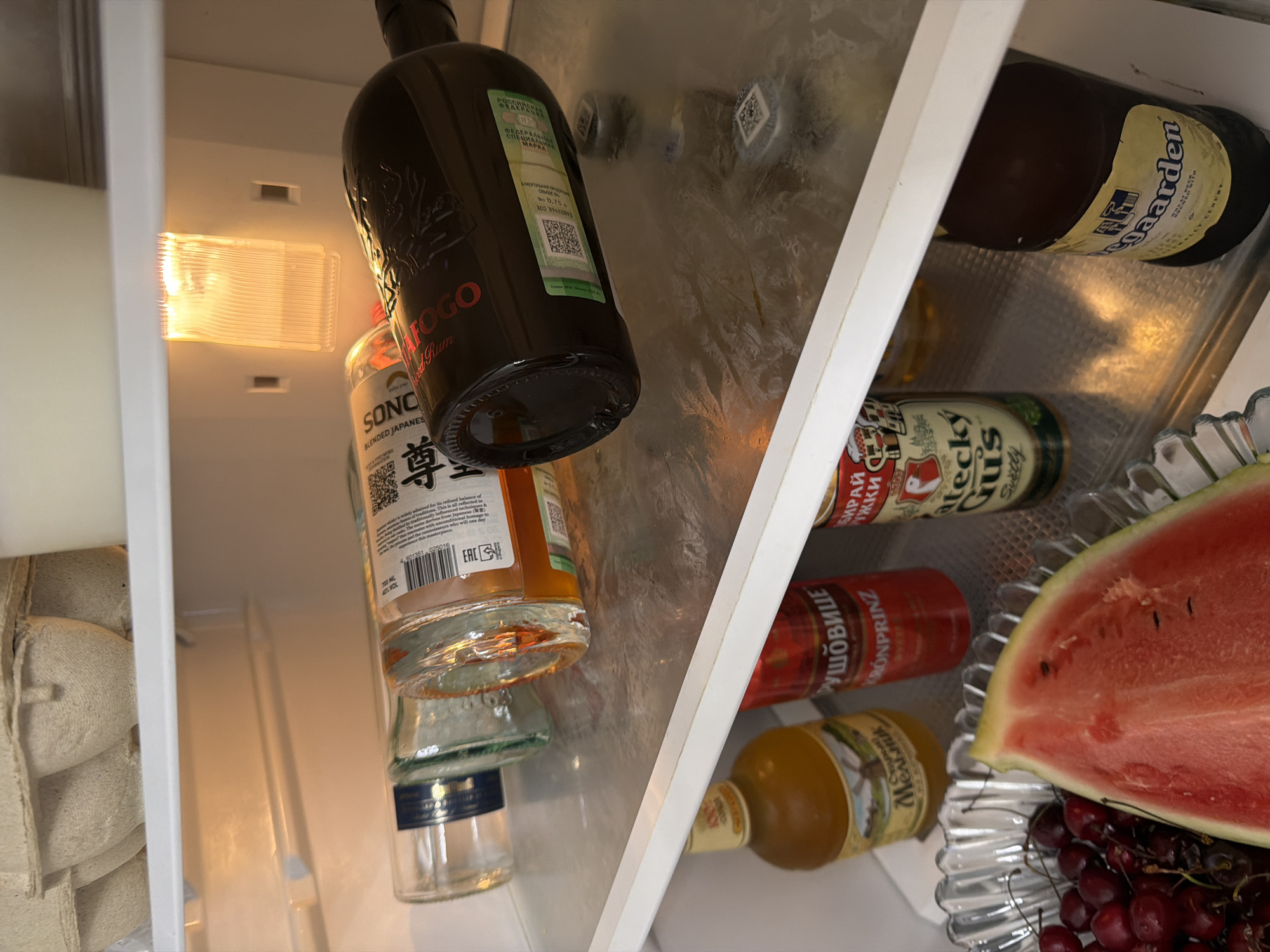 Sochi home morning: fridge photos, a cat, and a toy mouse