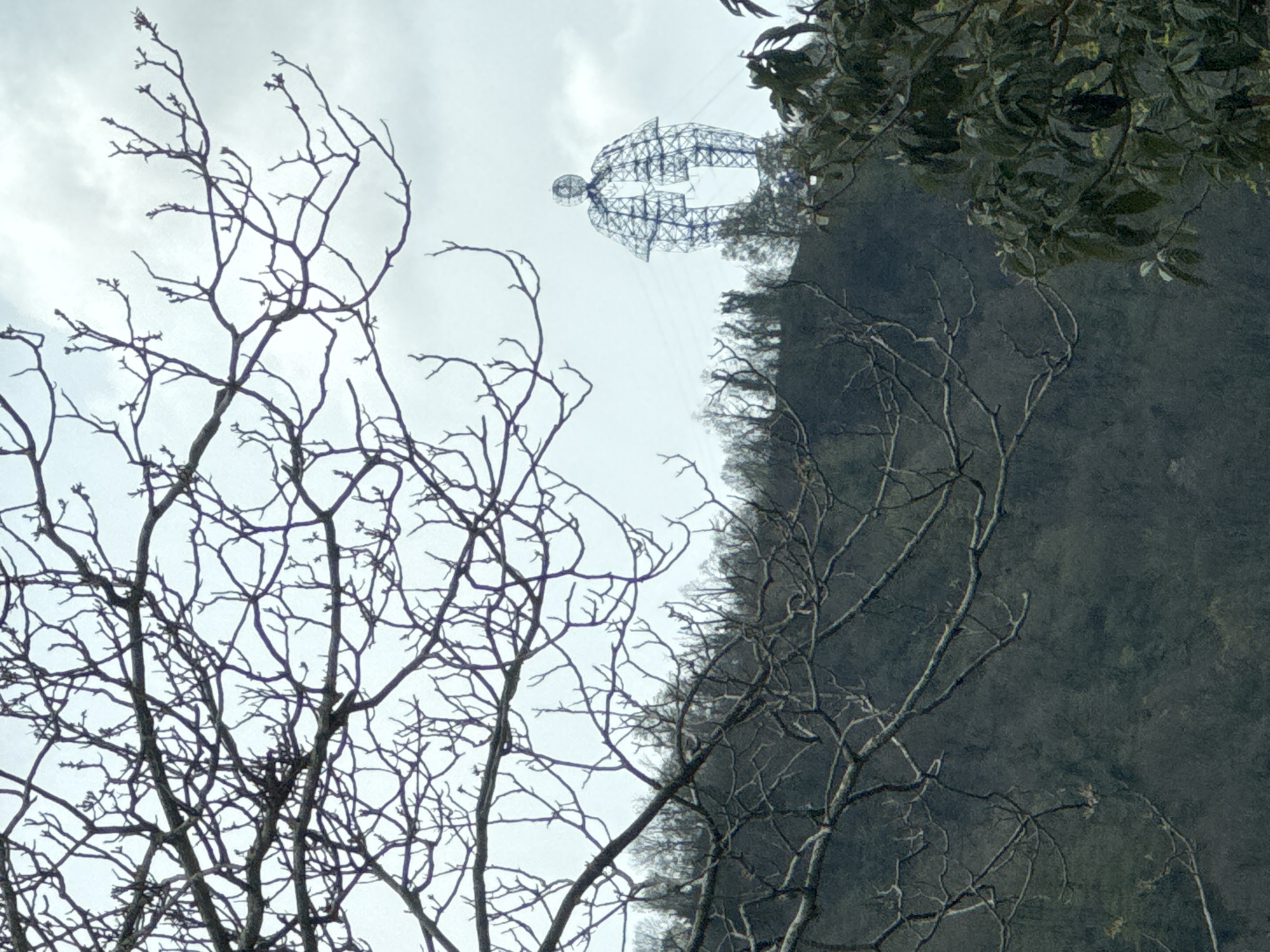 Gray skies and bare trees observed in Vysokoye, Russia