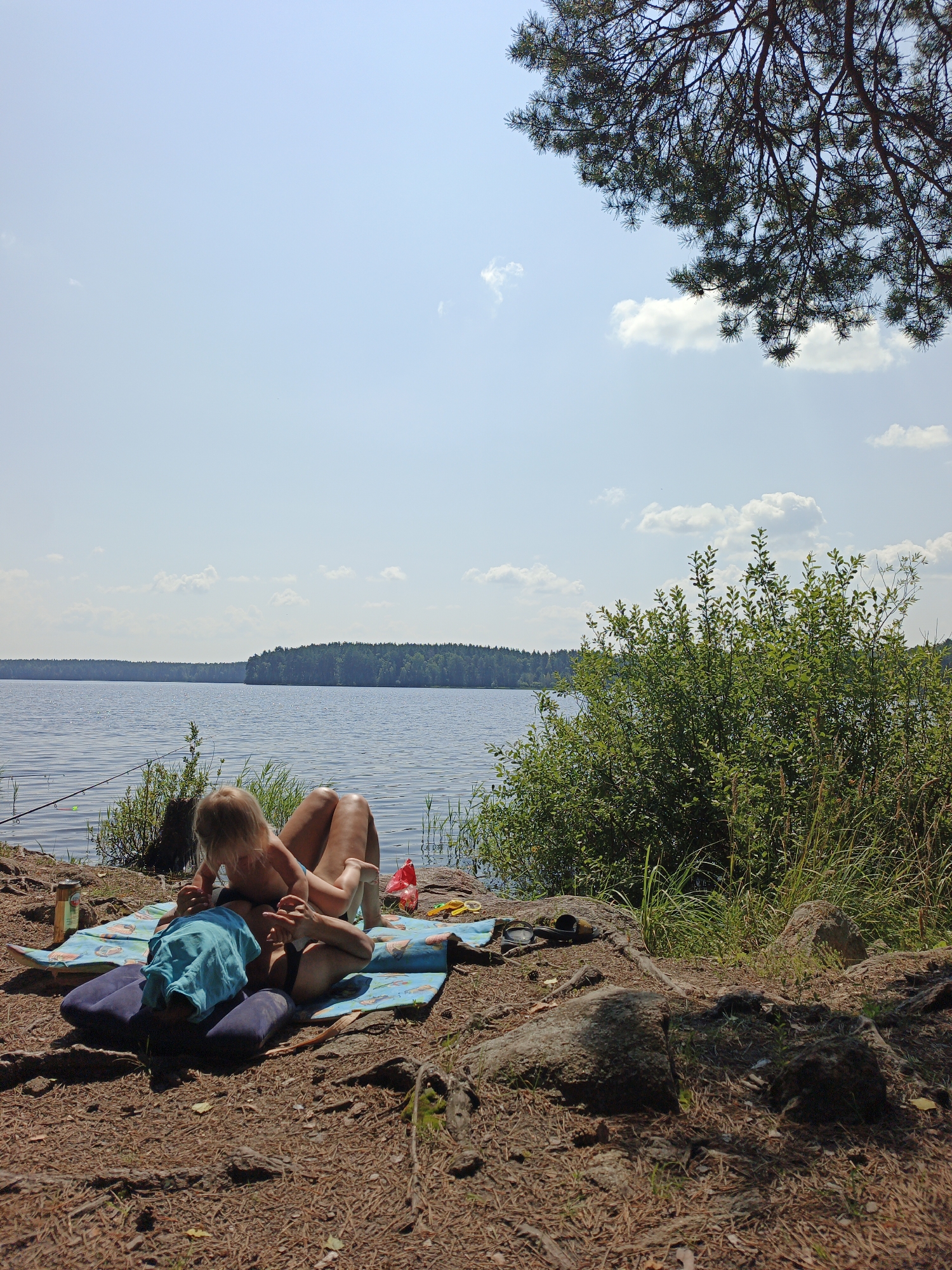 Lakeside camping and fishing day in the Sarafanovo pine forest