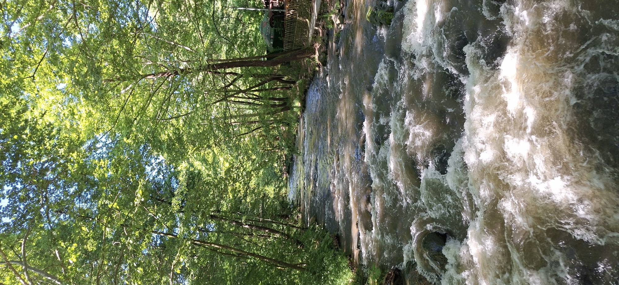 Stream and waterfall documented in Parvenets, Bulgaria forest area
