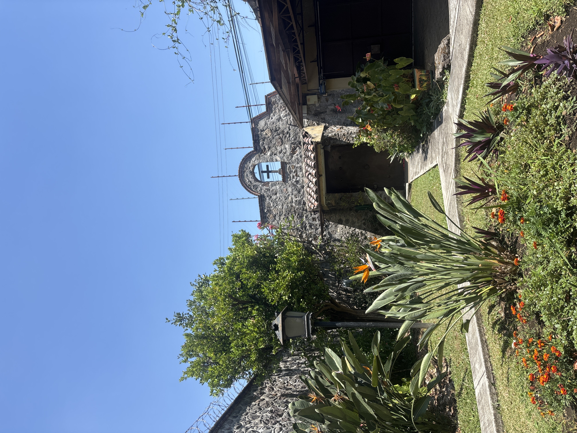 Stone building and husky dog captured in Cuernavaca