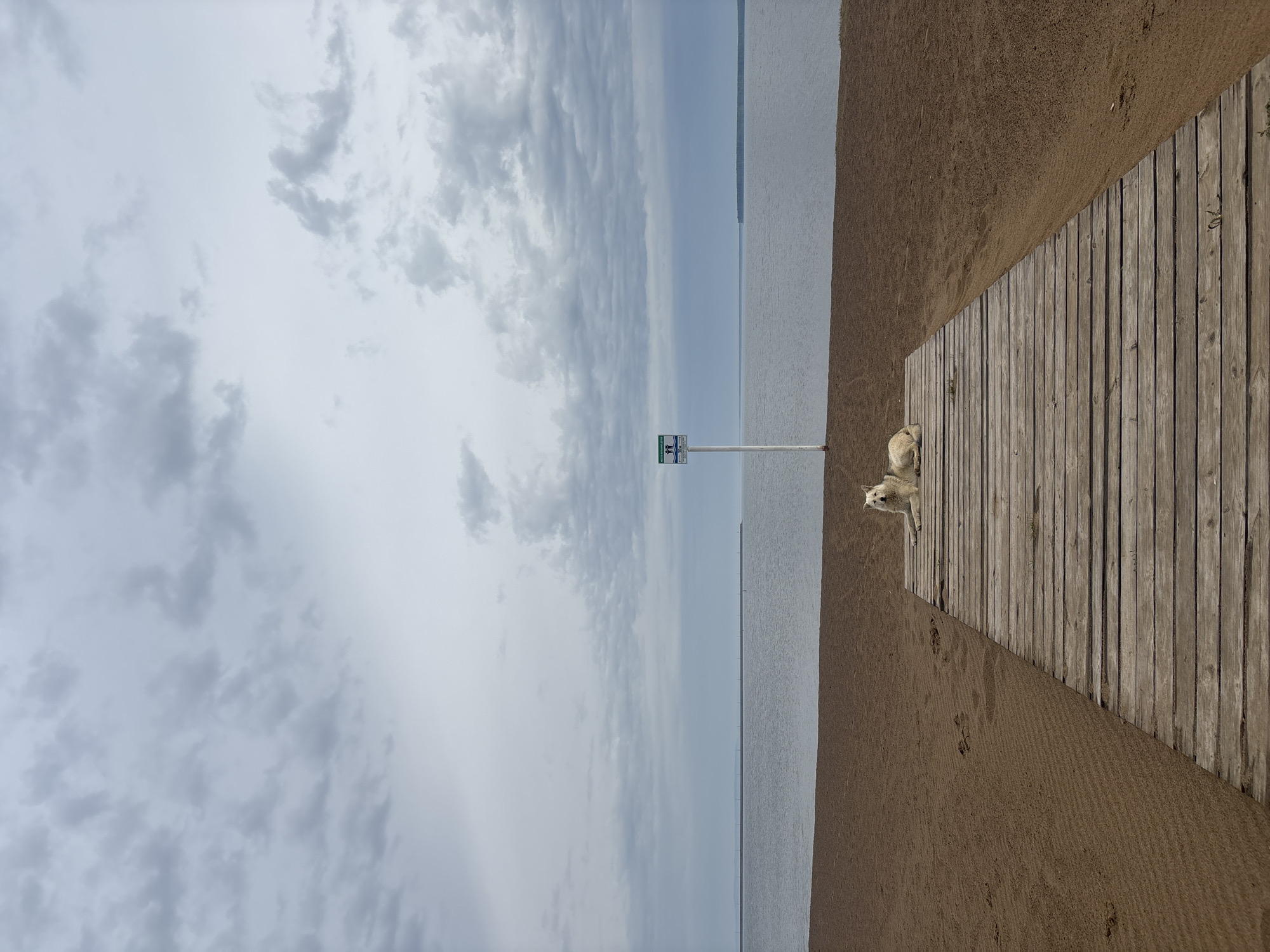 Overcast morning at Chaikovsky beach boardwalk captured by witness