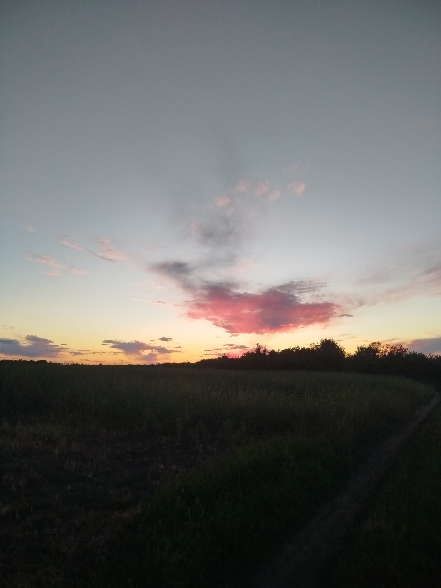 Evening countryside walk documented in rural Ustyvytsia, Ukraine