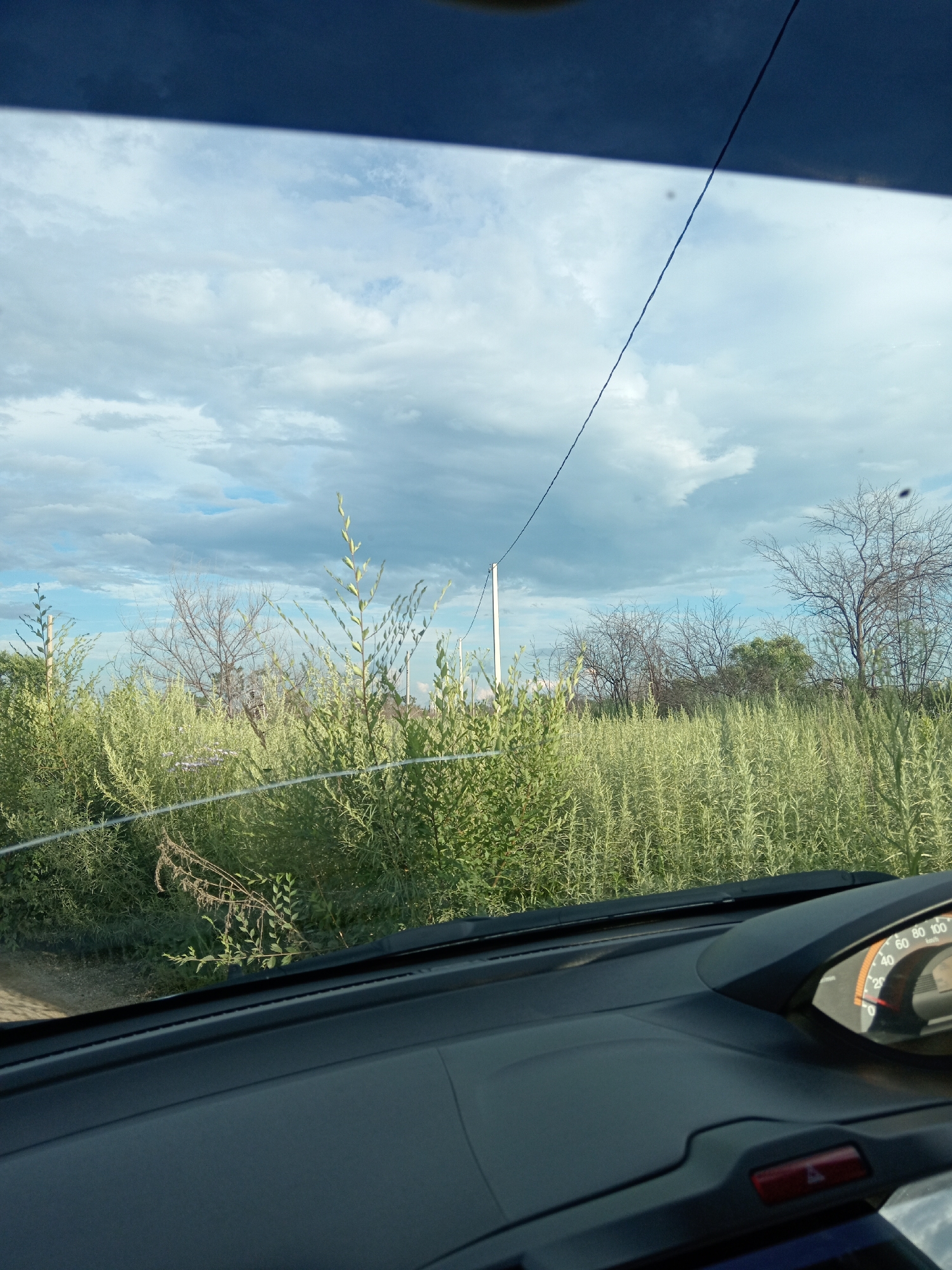 Summer day out in Belogorsk: road trip, beach stop, wildflowers