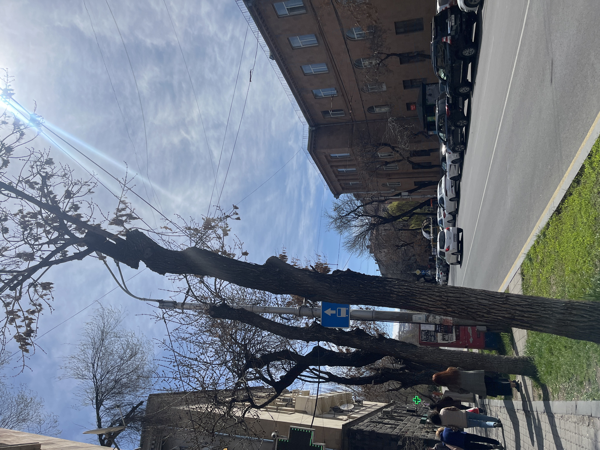 Morning street scene captured in Yerevan, Armenia