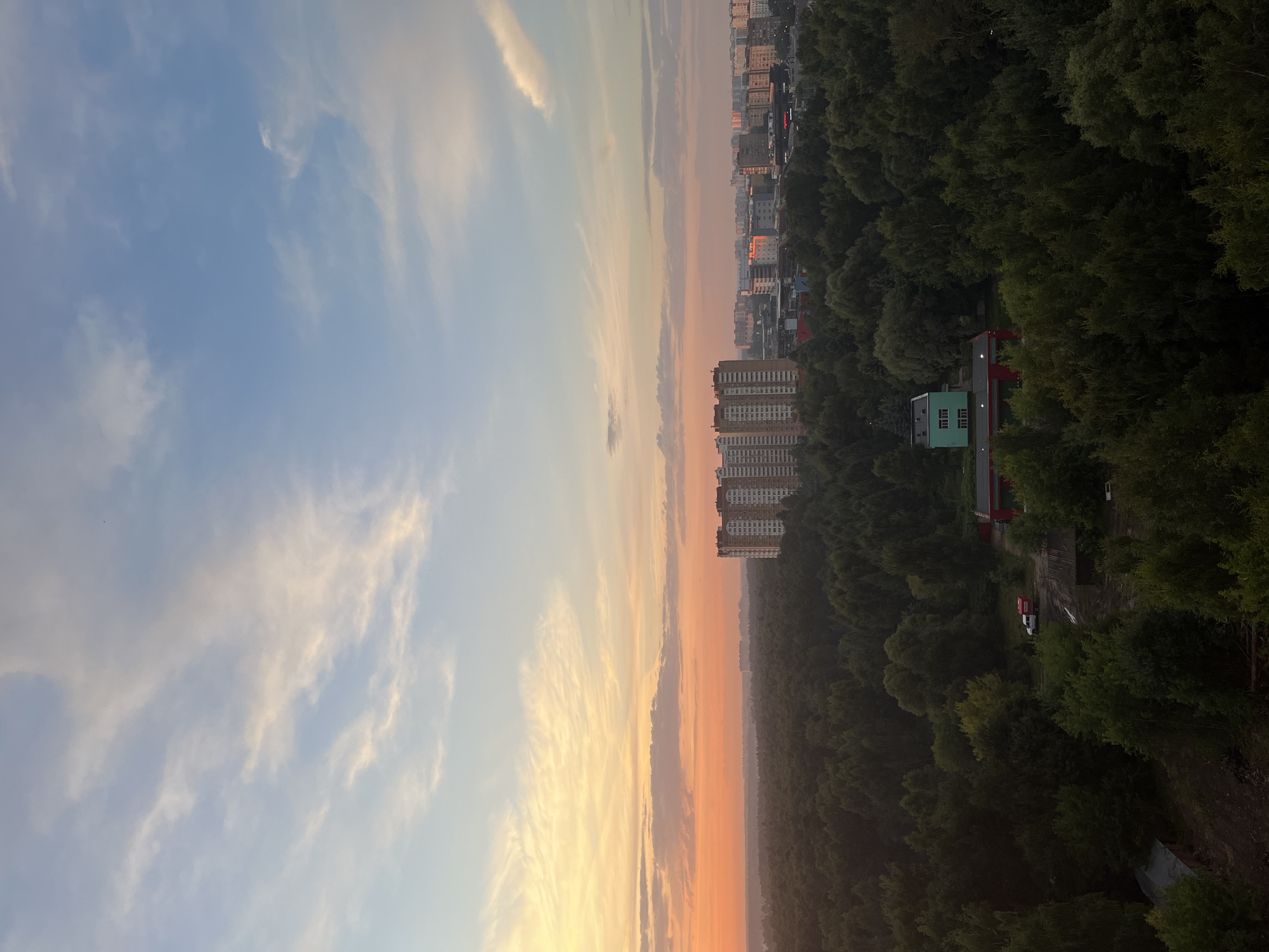 City skyline peers through haze beyond a sprawling forest canopy at sunset