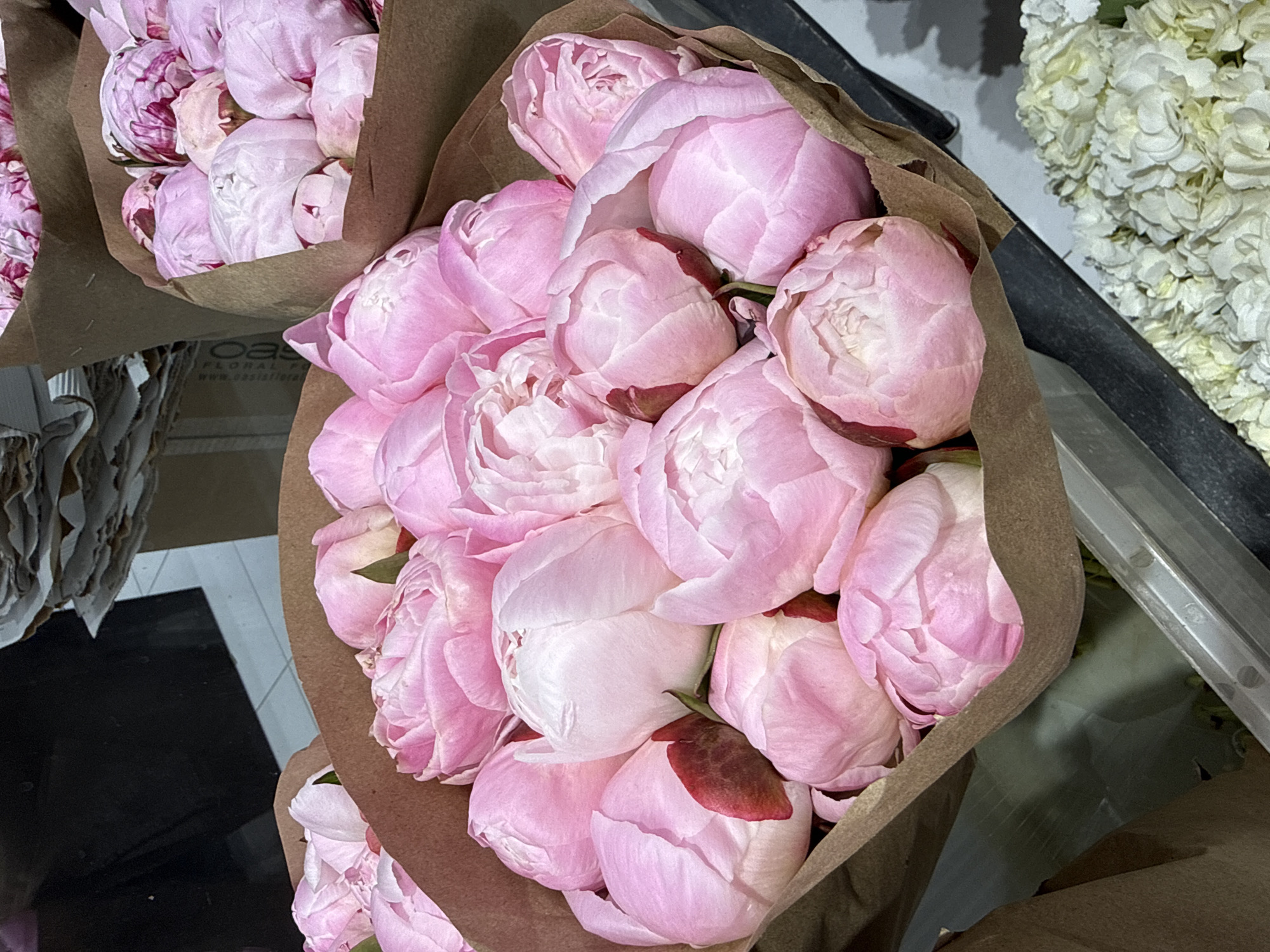 Pink peonies and street-level snapshots in central Moscow