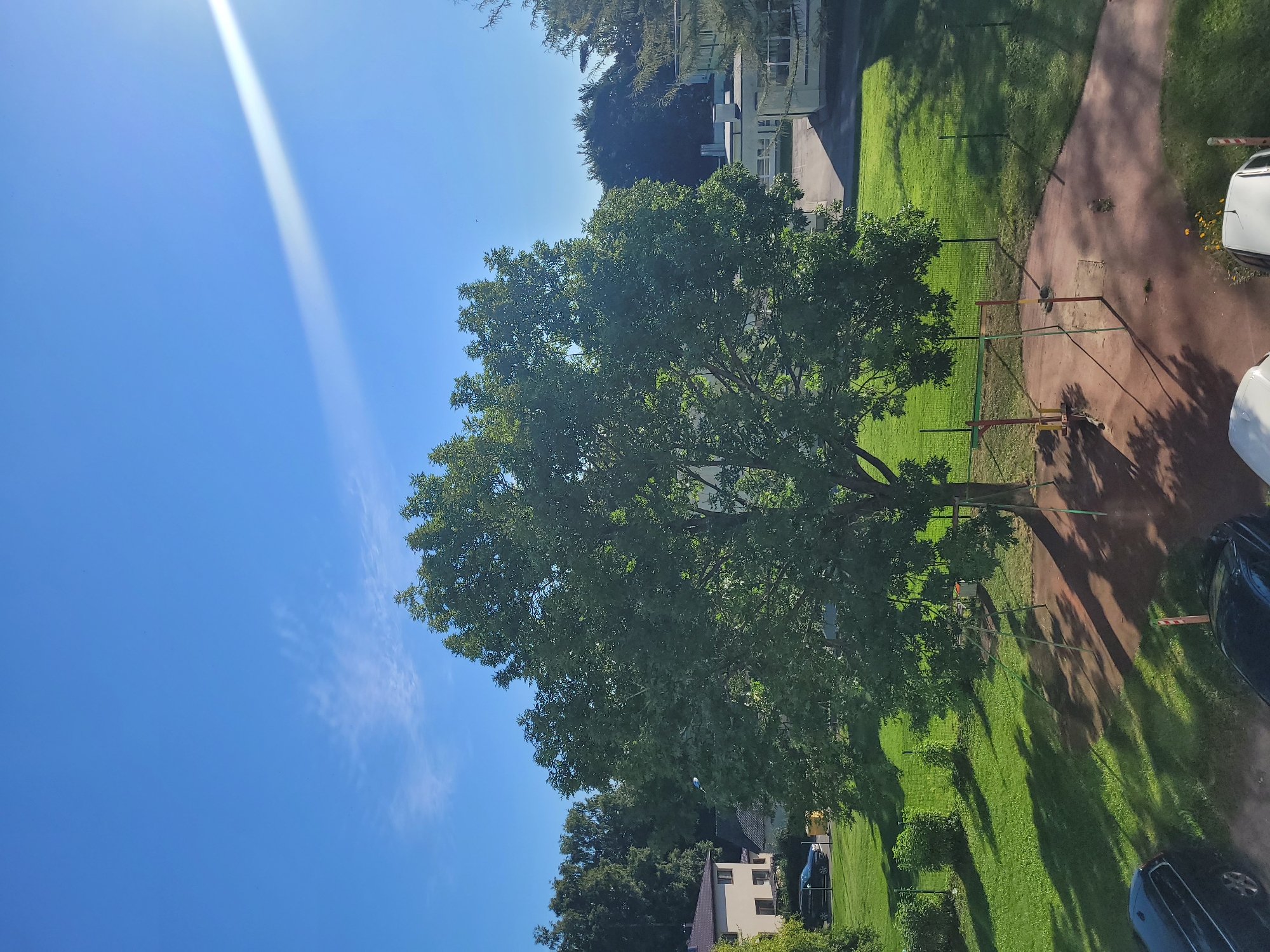 Summer morning at home and outdoors in Jūrmala, Latvia