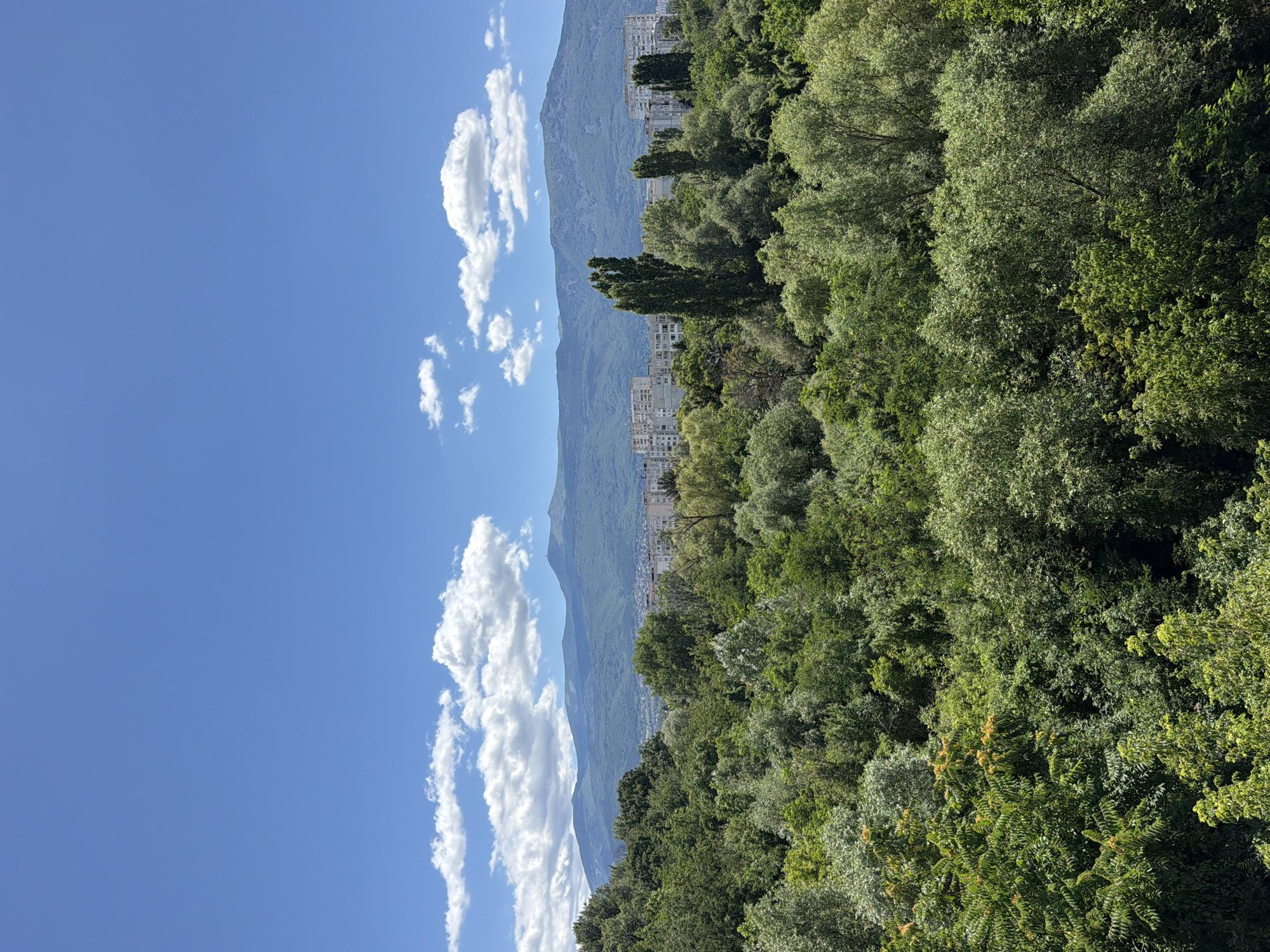 Sofia panoramas: forested hills, broadcast tower, Vitosha backdrop