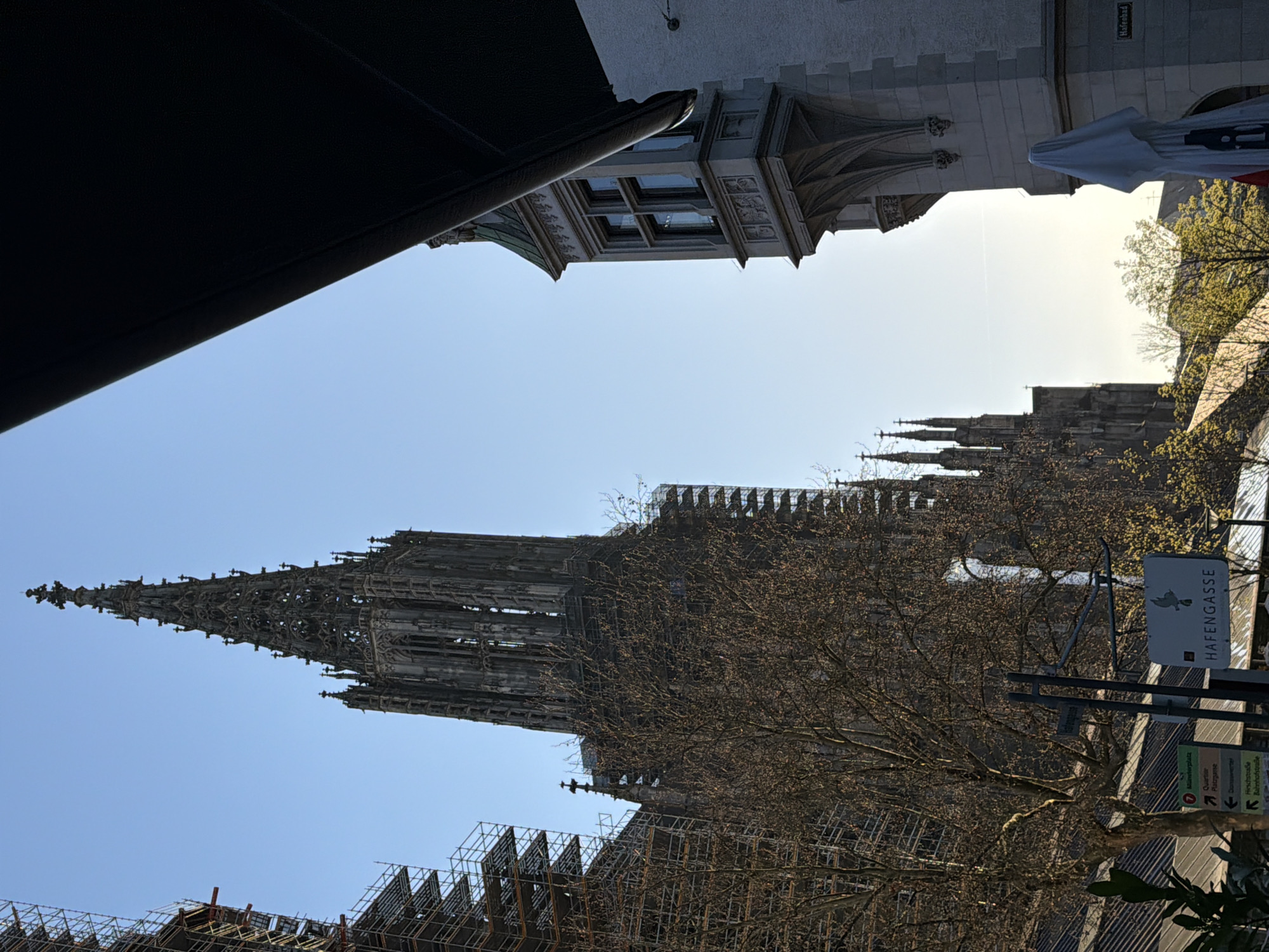 Street musician performs near scaffolded Ulm Minster cathedral