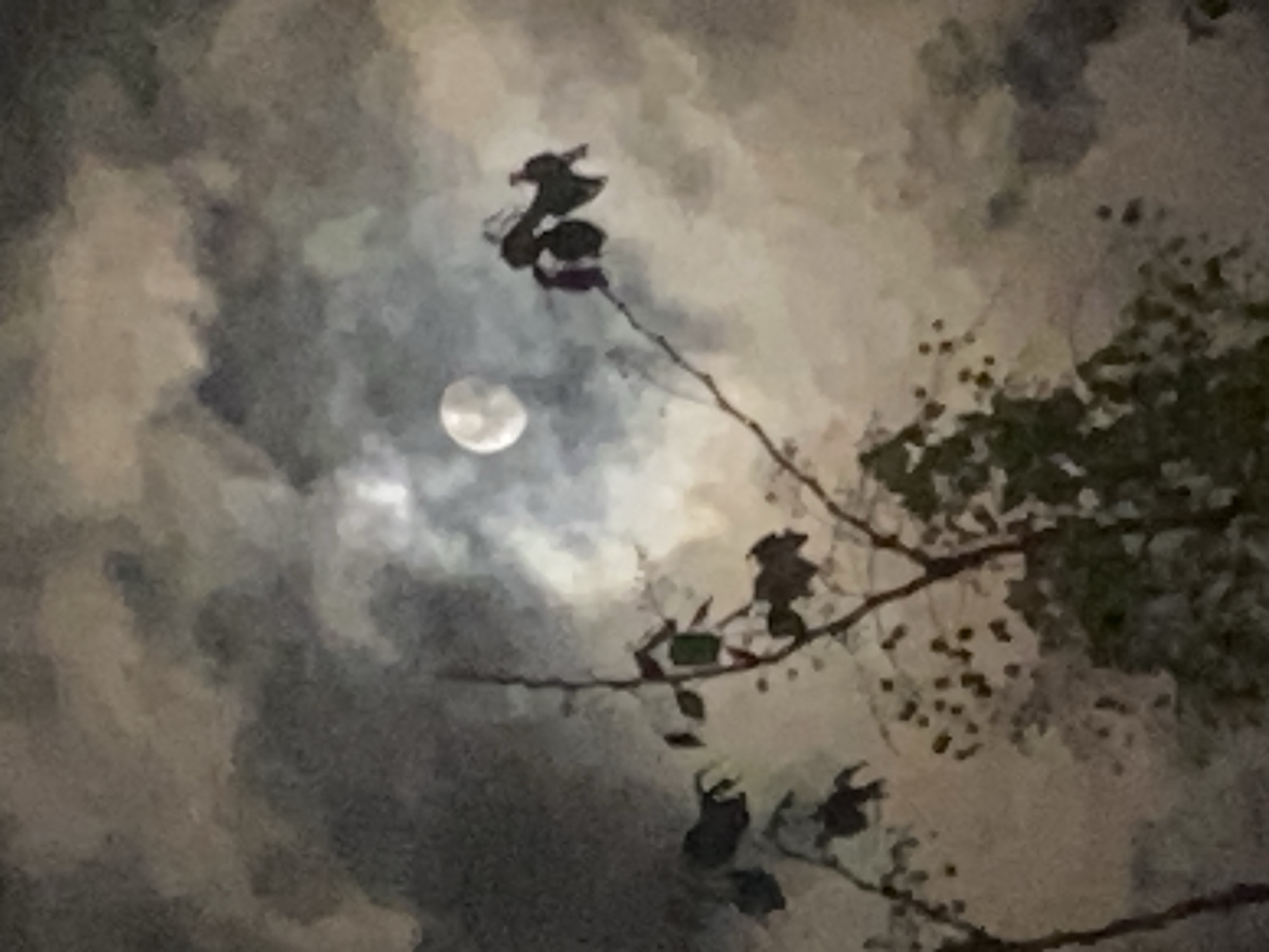 Clouded full moon observed in Baan Kai, Thailand