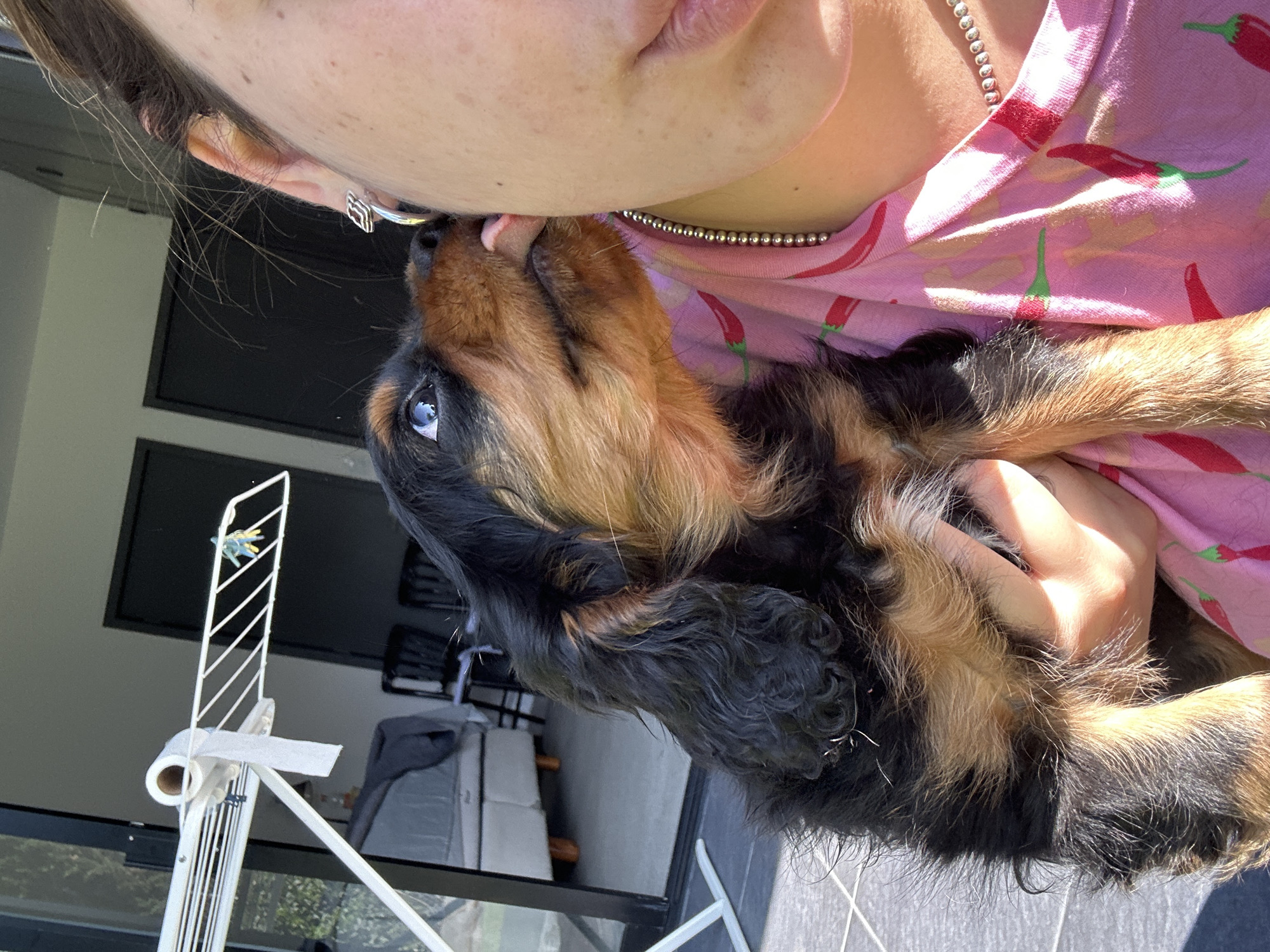 Woman with Cavalier King Charles puppy captured in Puebla